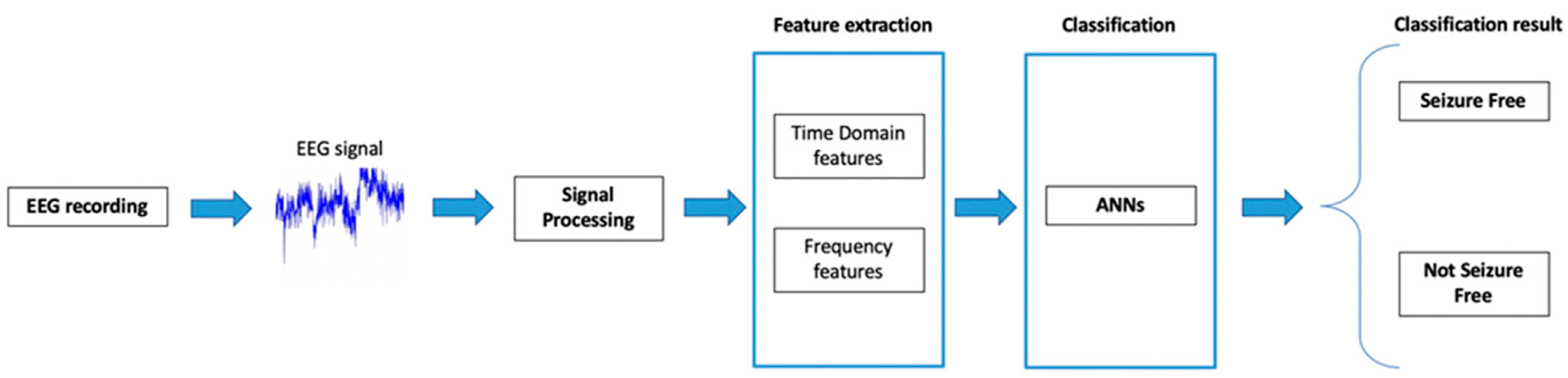 Brainsci 13 00071 g001