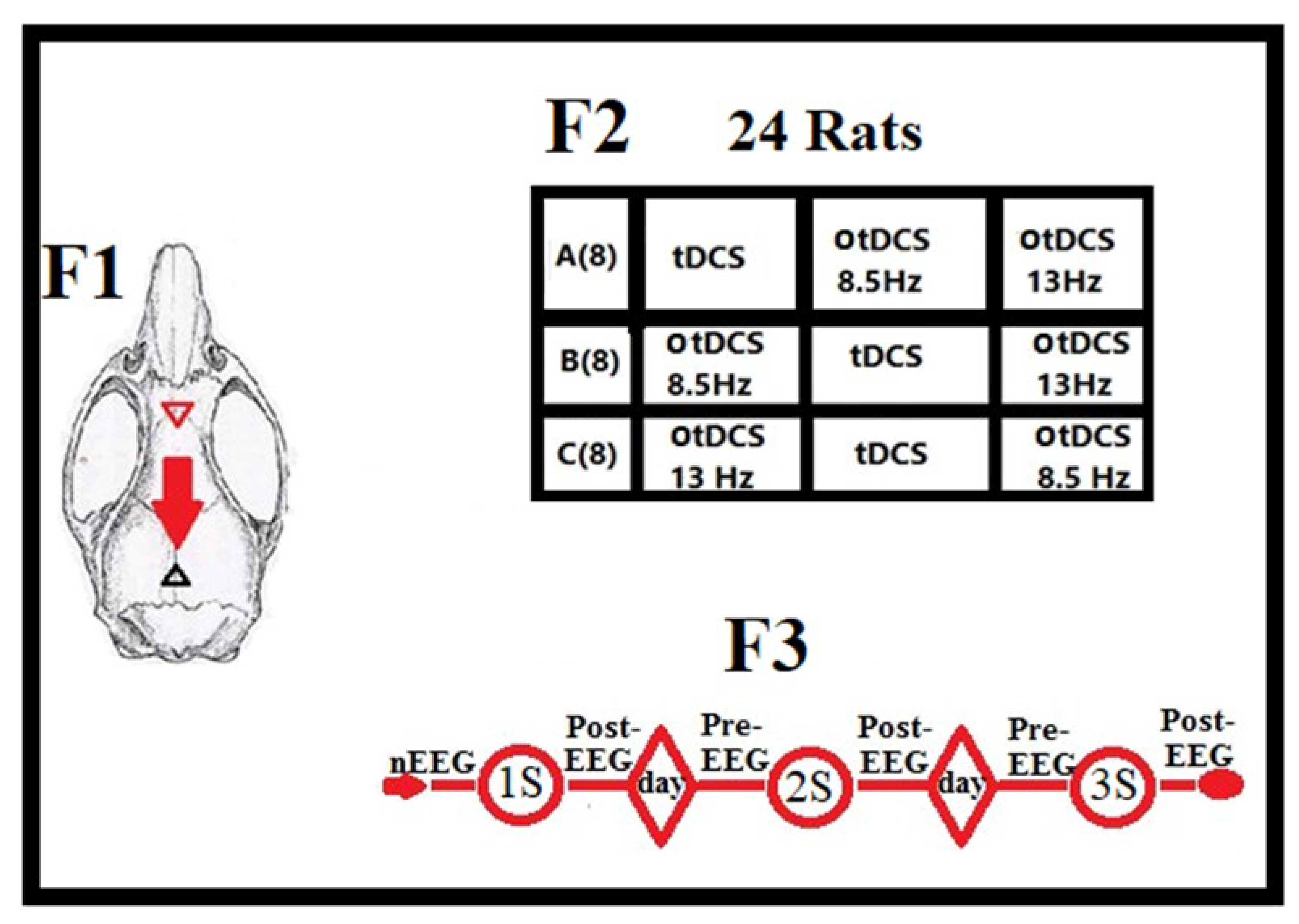 Brainsci 13 00072 g004