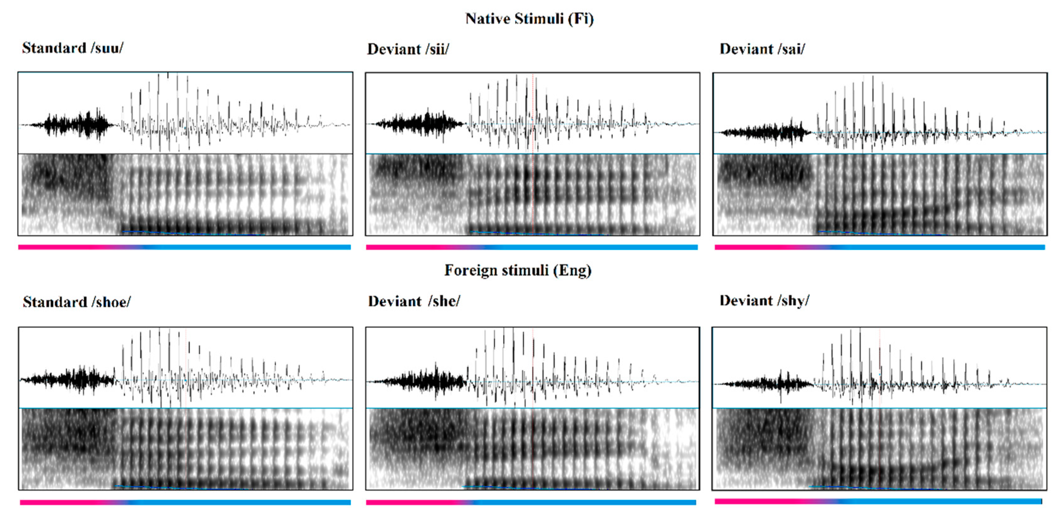 Brainsci 13 00076 g001