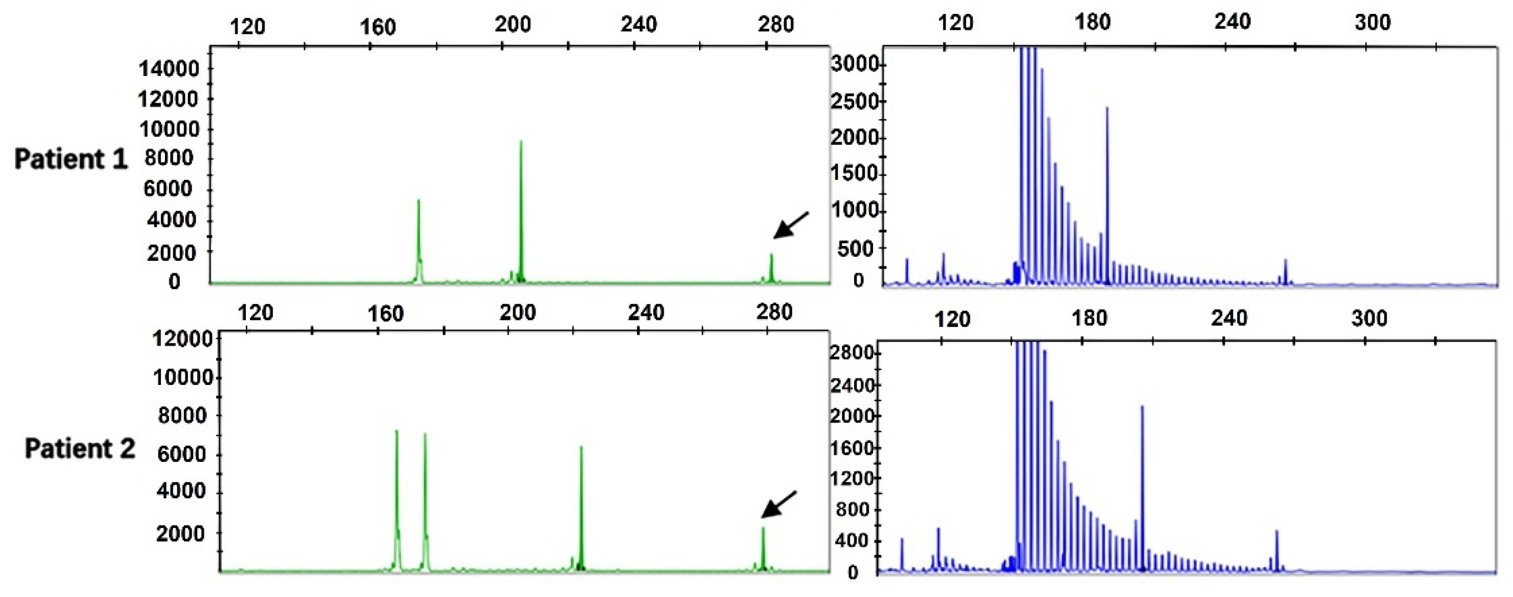 Brainsci 13 00085 g001