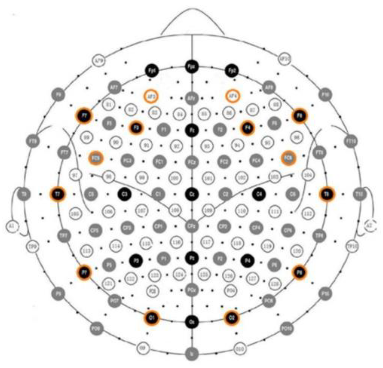 Brainsci 13 00088 g001 Brainsci 13 00088 g001