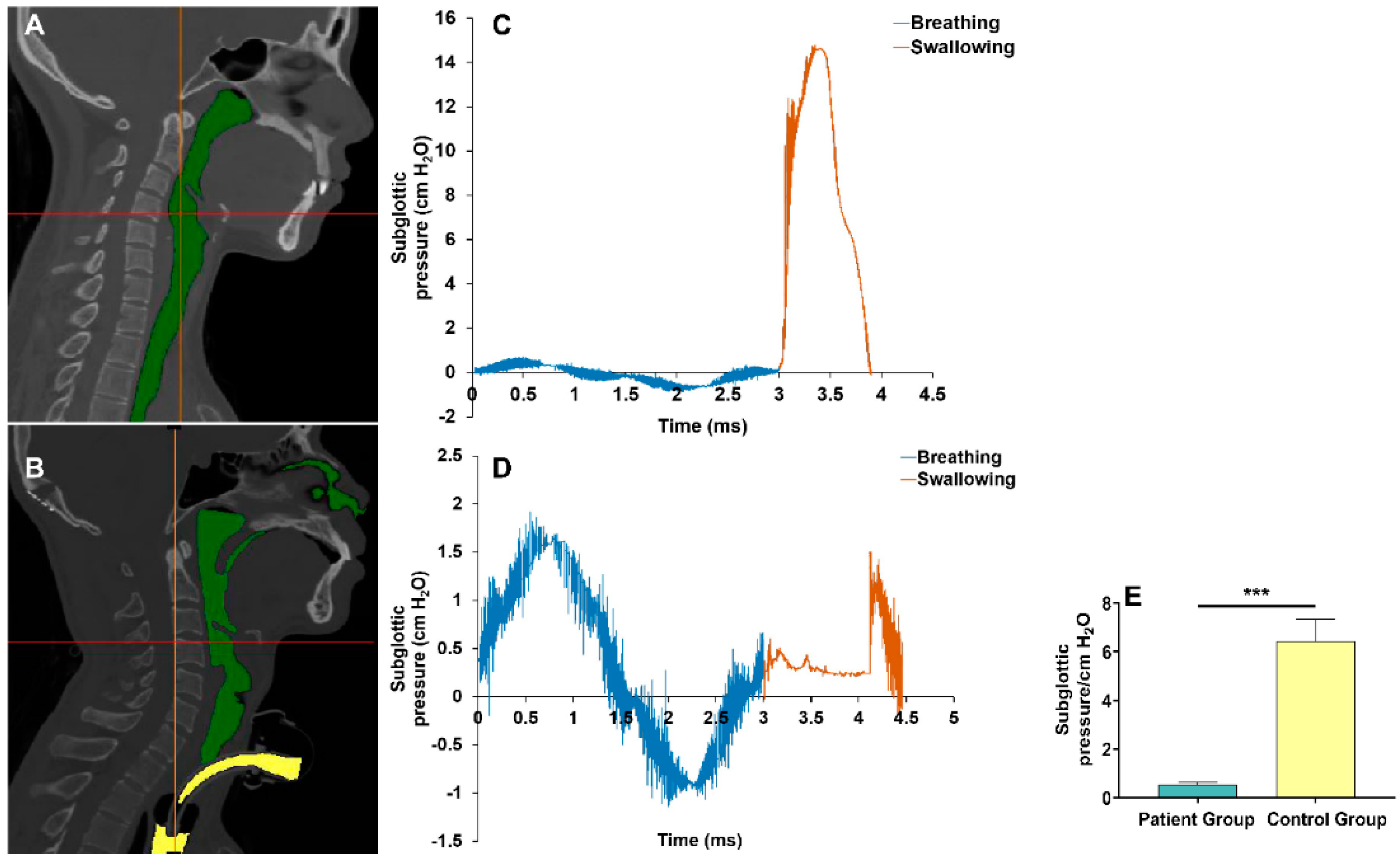 Brainsci 13 00091 g003