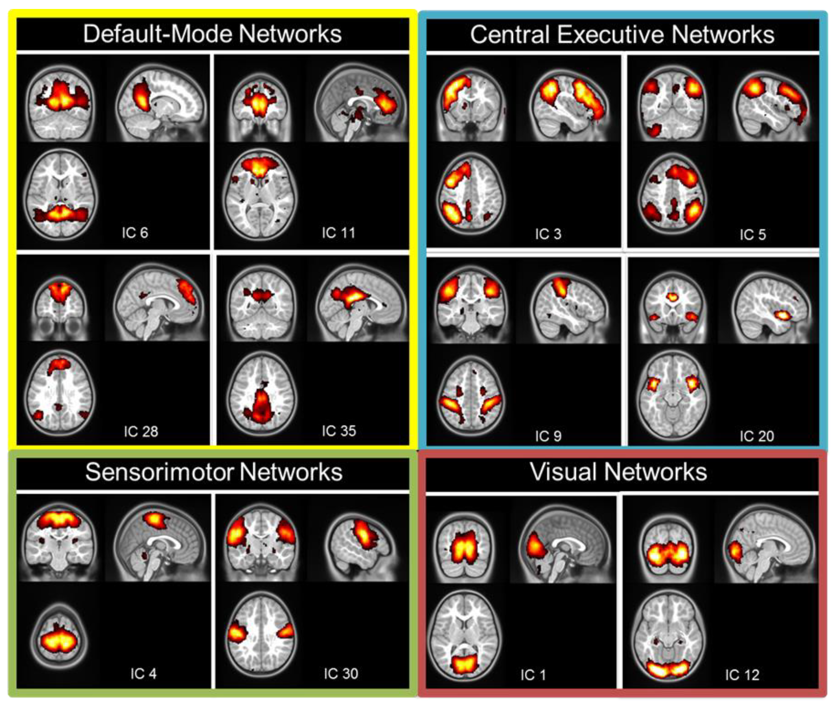 Brainsci 13 00099 g001