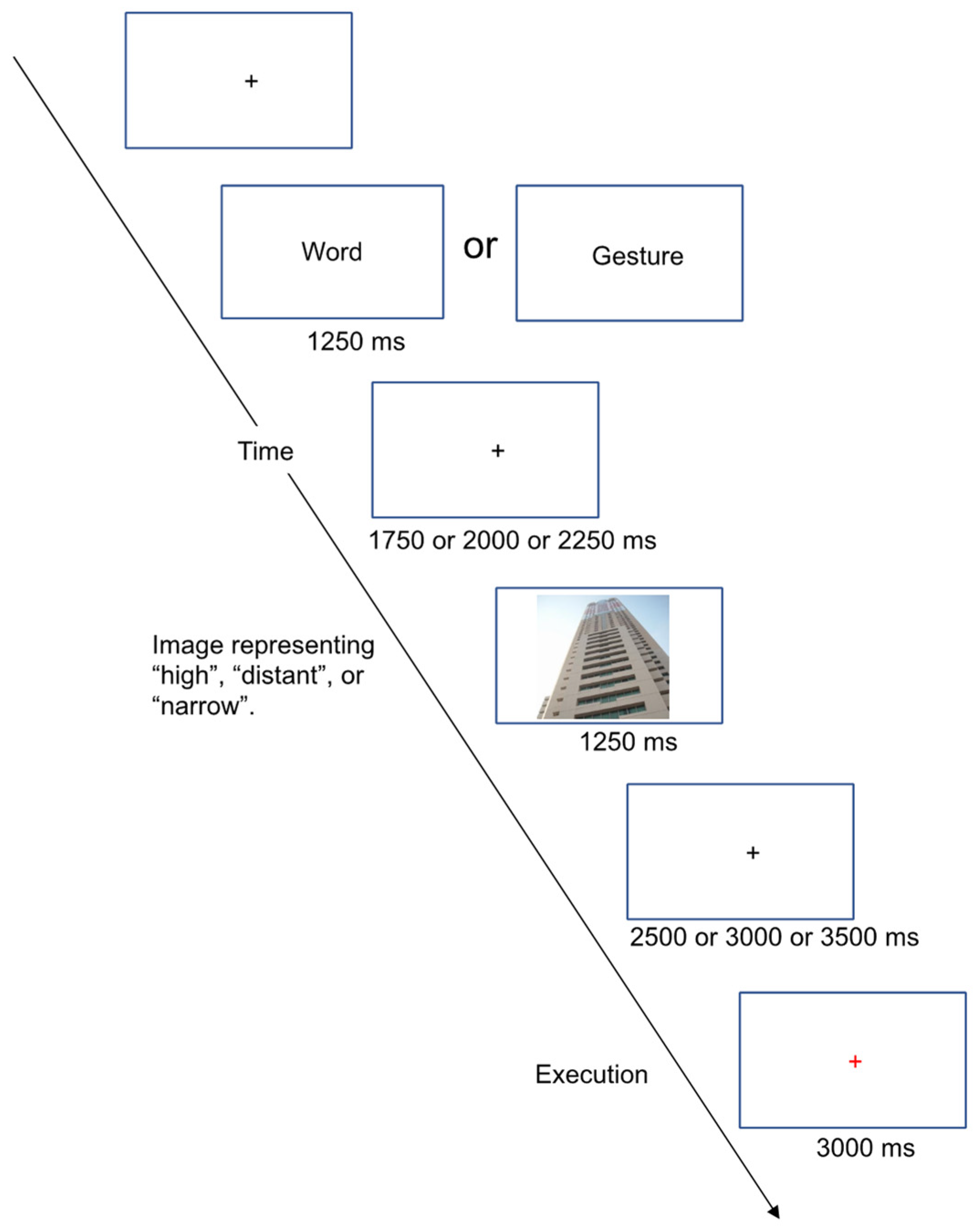 Brainsci 13 00100 g001 Brainsci 13 00100 g001