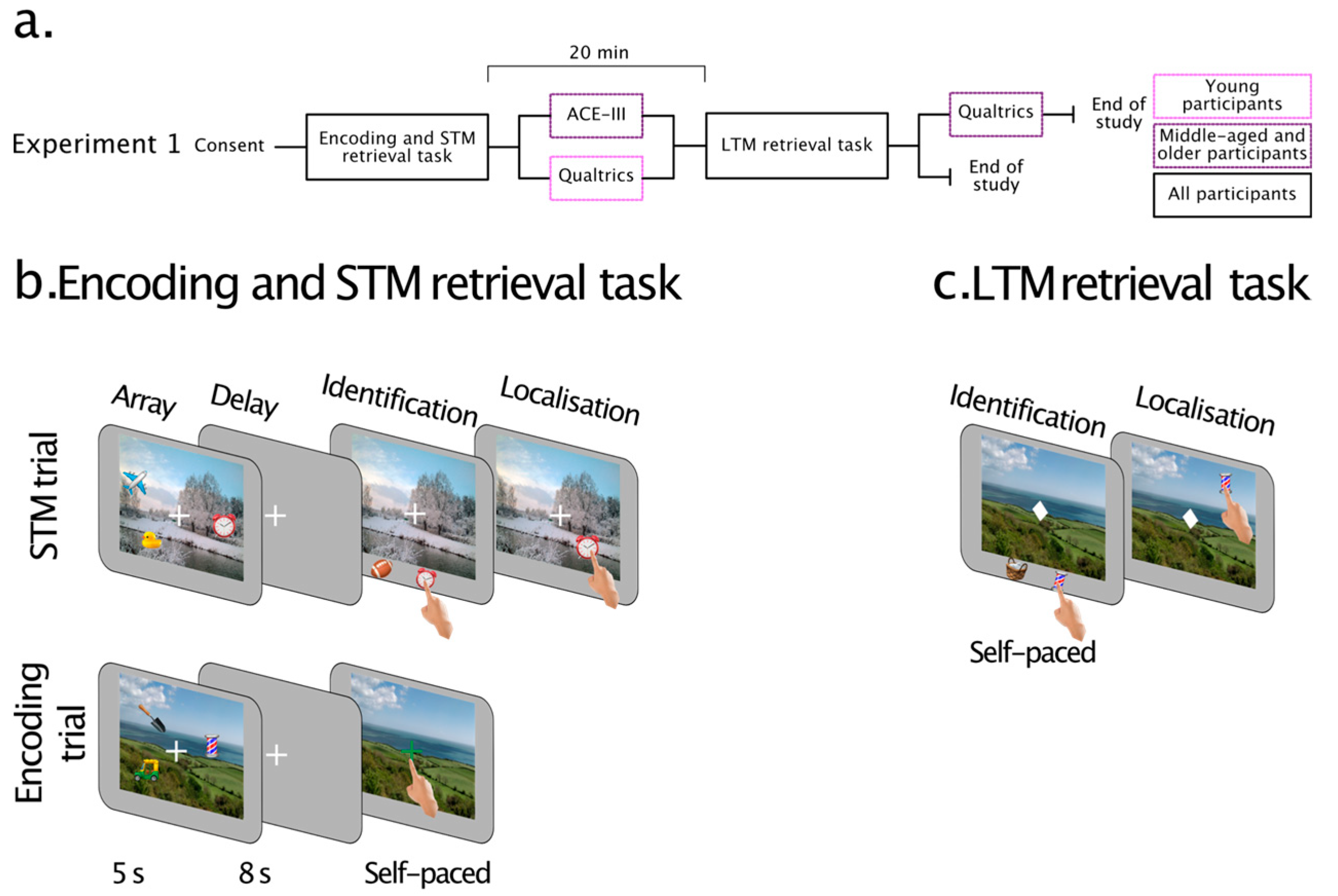 Brainsci 13 00106 g001