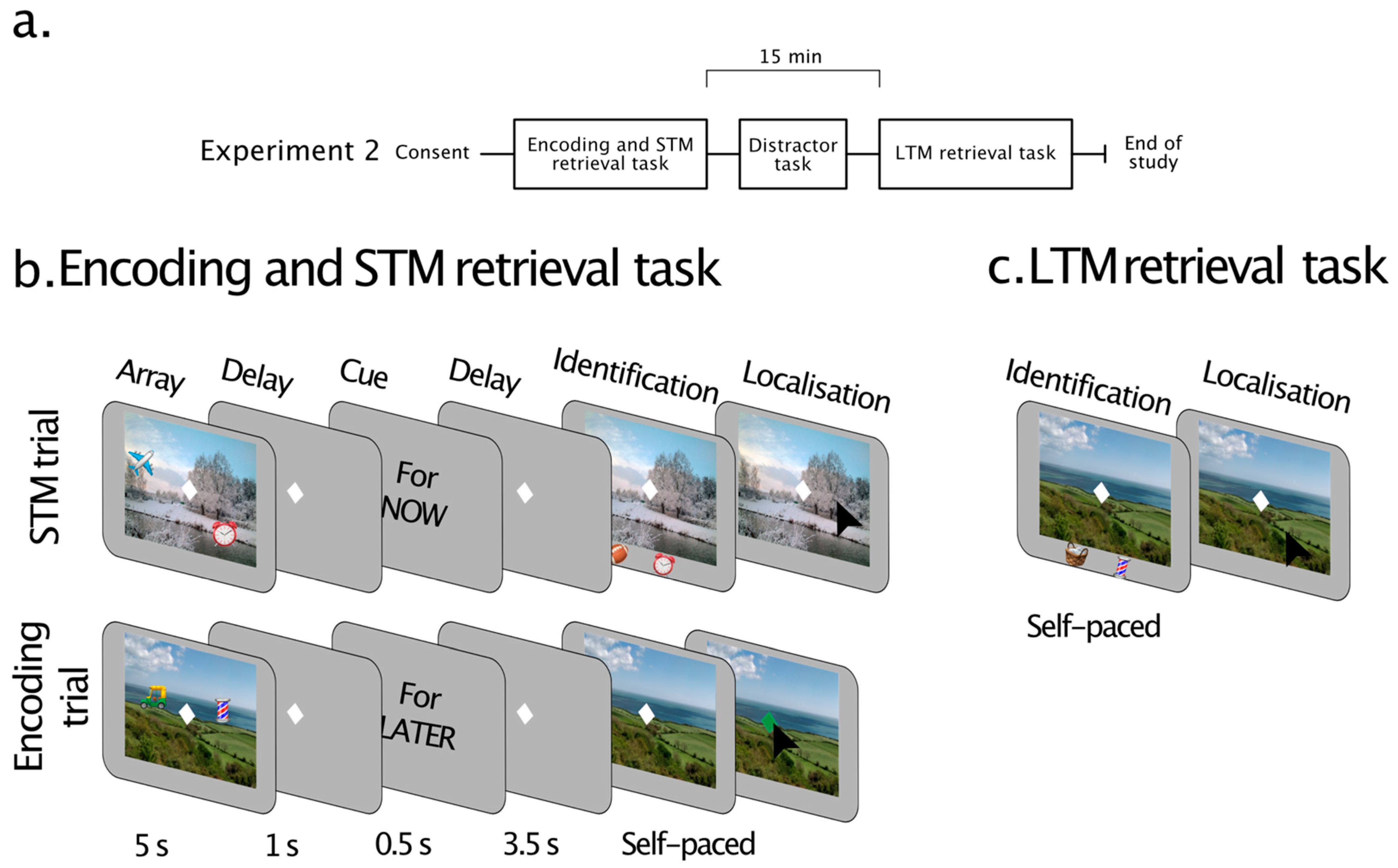 Brainsci 13 00106 g004
