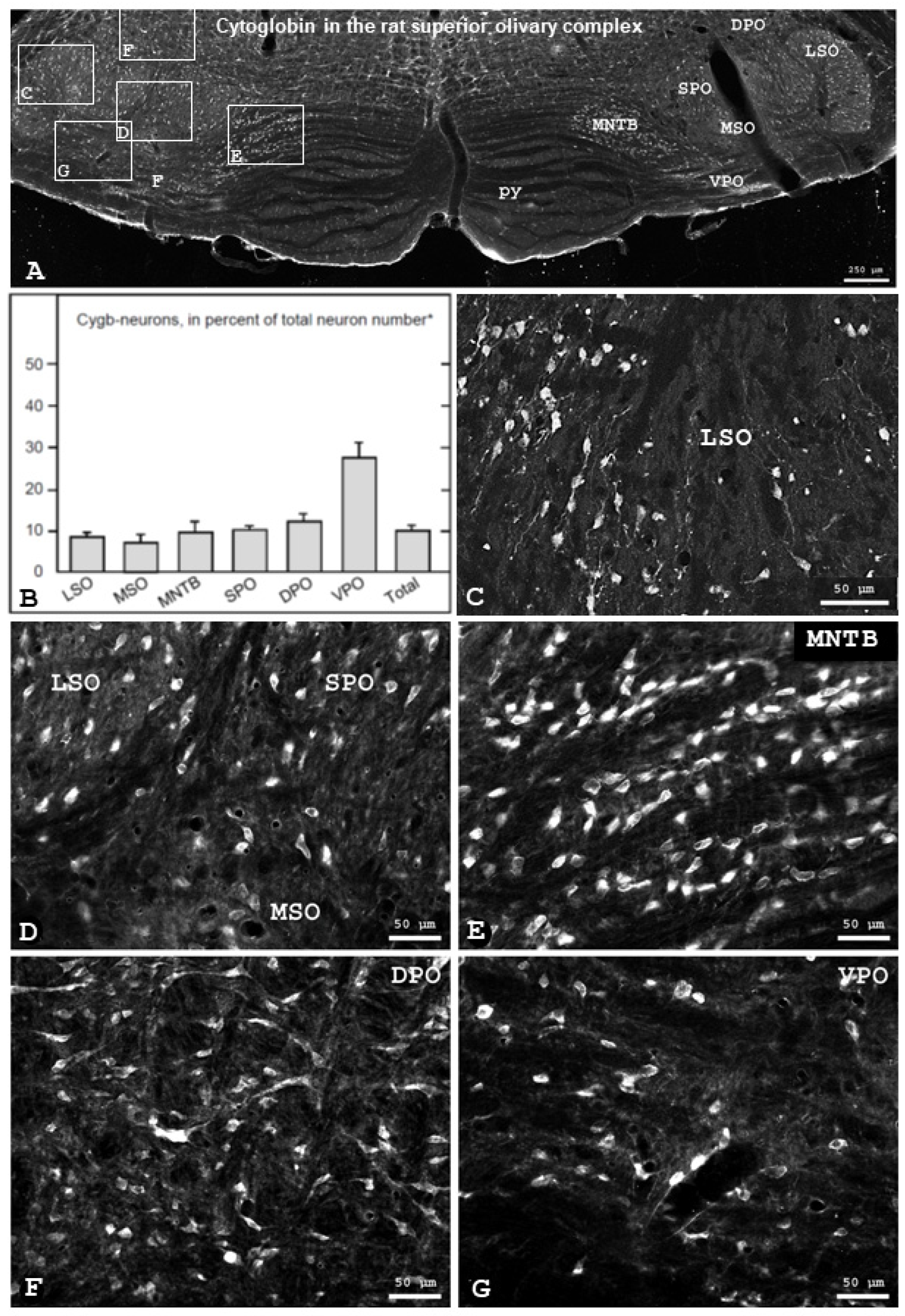 Brainsci 13 00107 g001