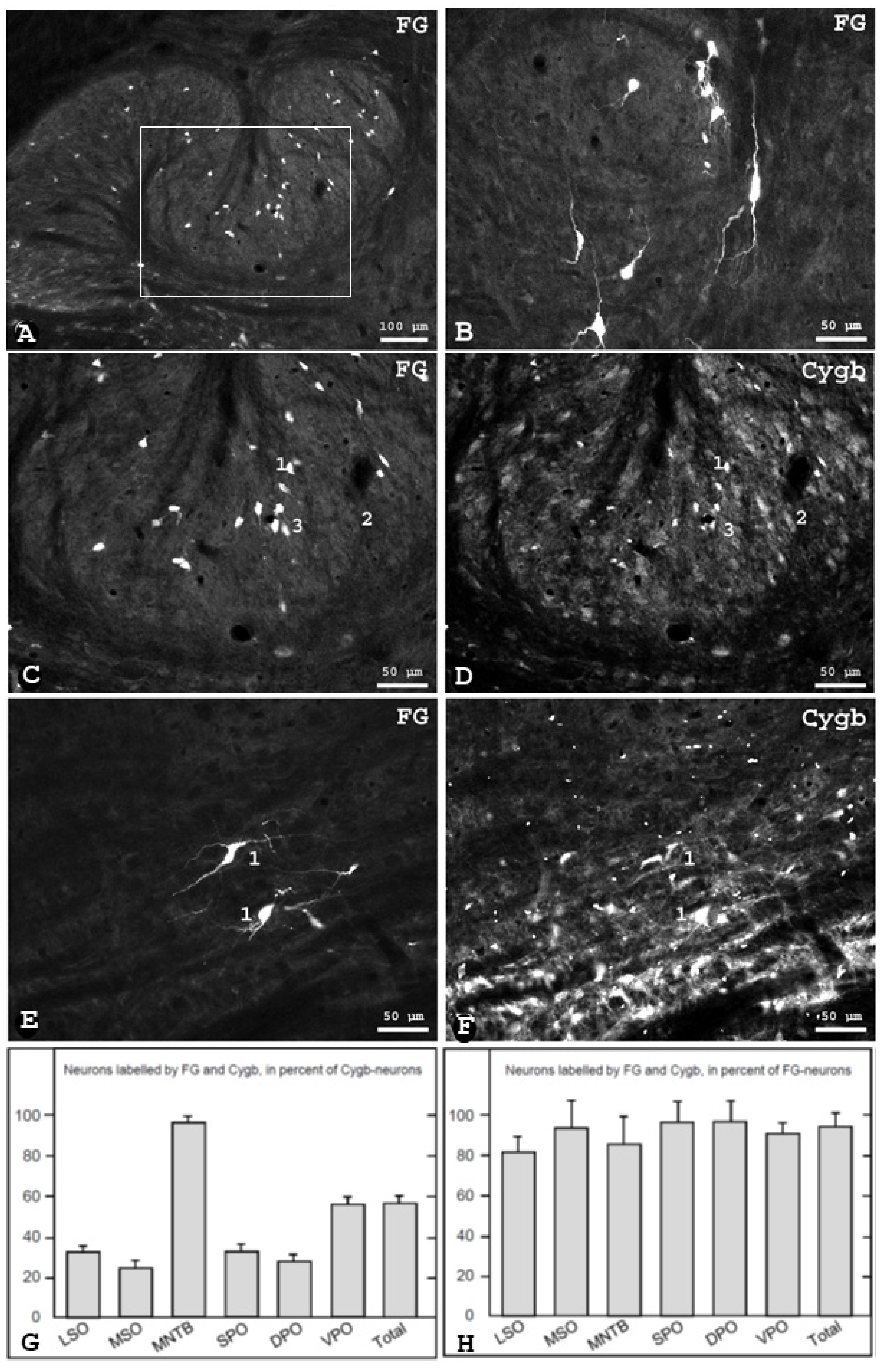 Brainsci 13 00107 g002