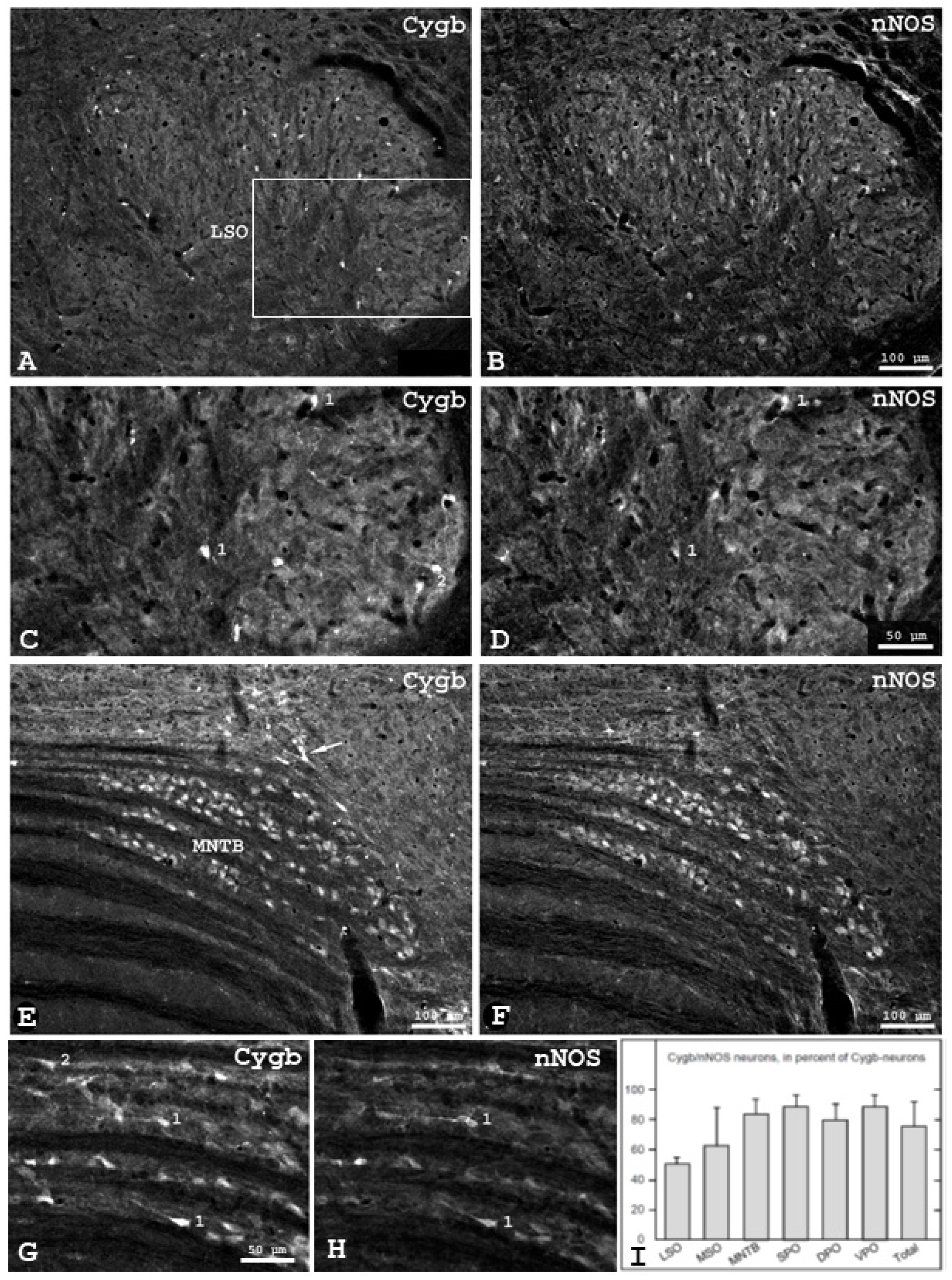 Brainsci 13 00107 g003