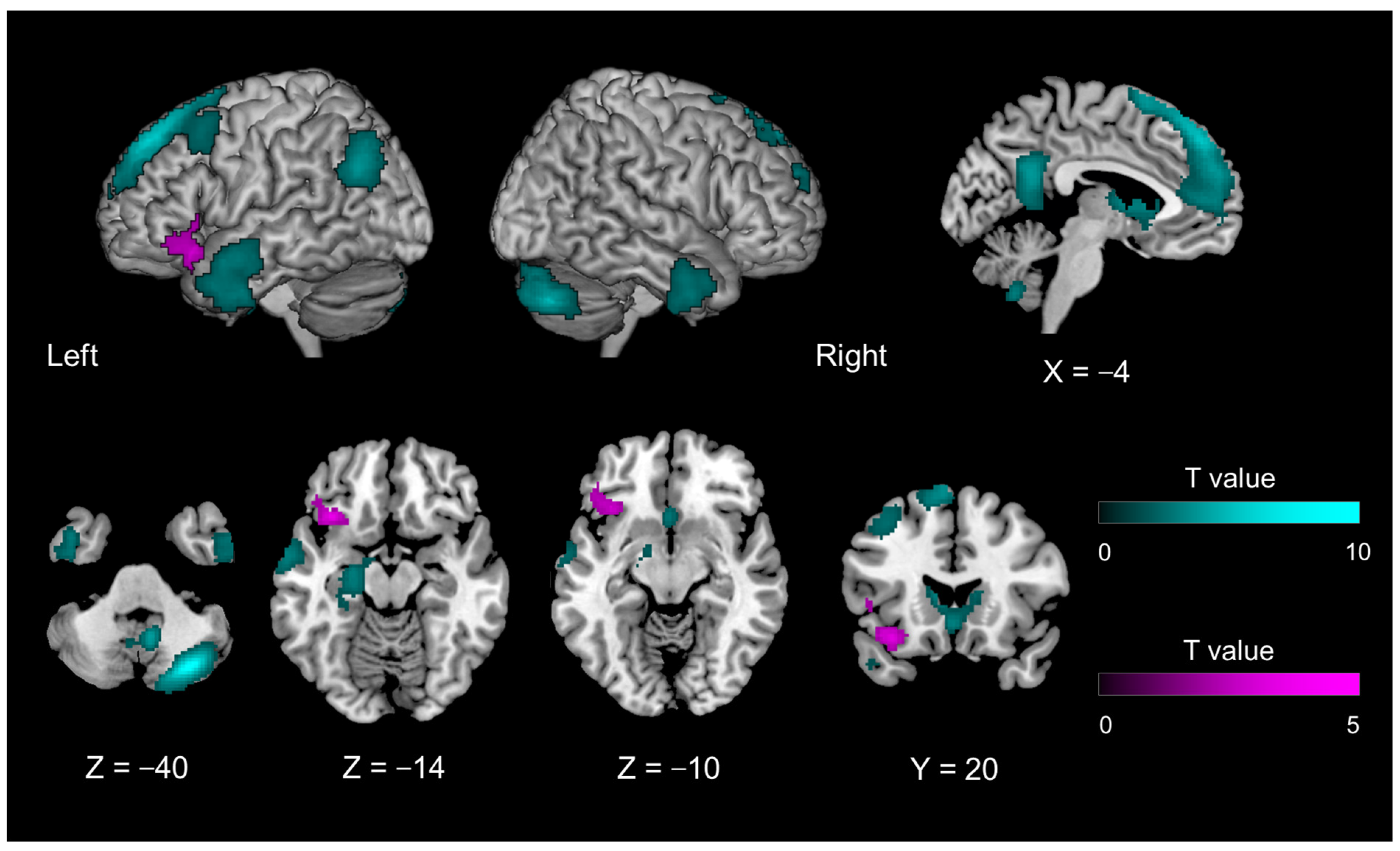 Brainsci 13 00111 g003