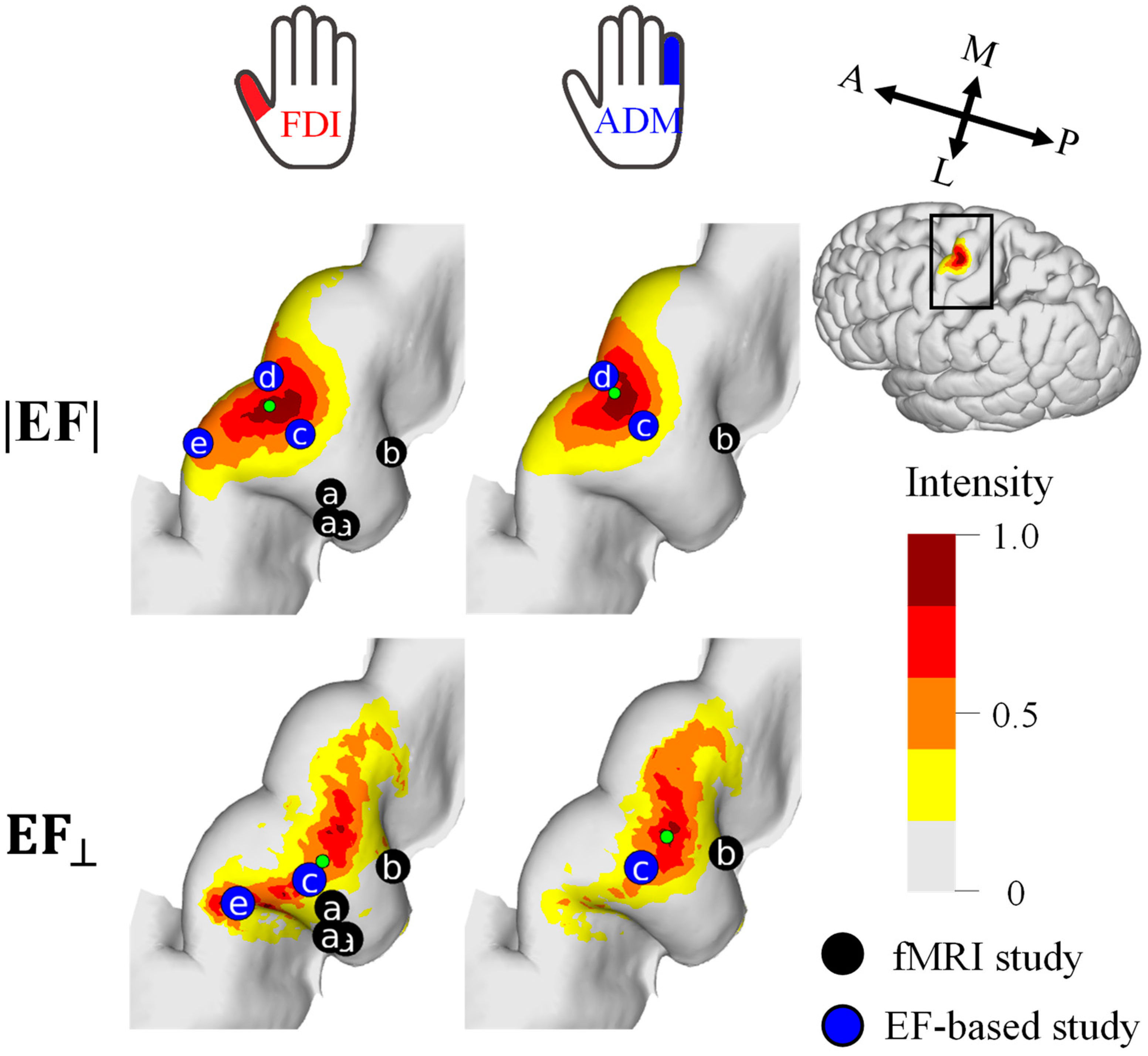 Brainsci 13 00116 g004 Brainsci 13 00116 g004