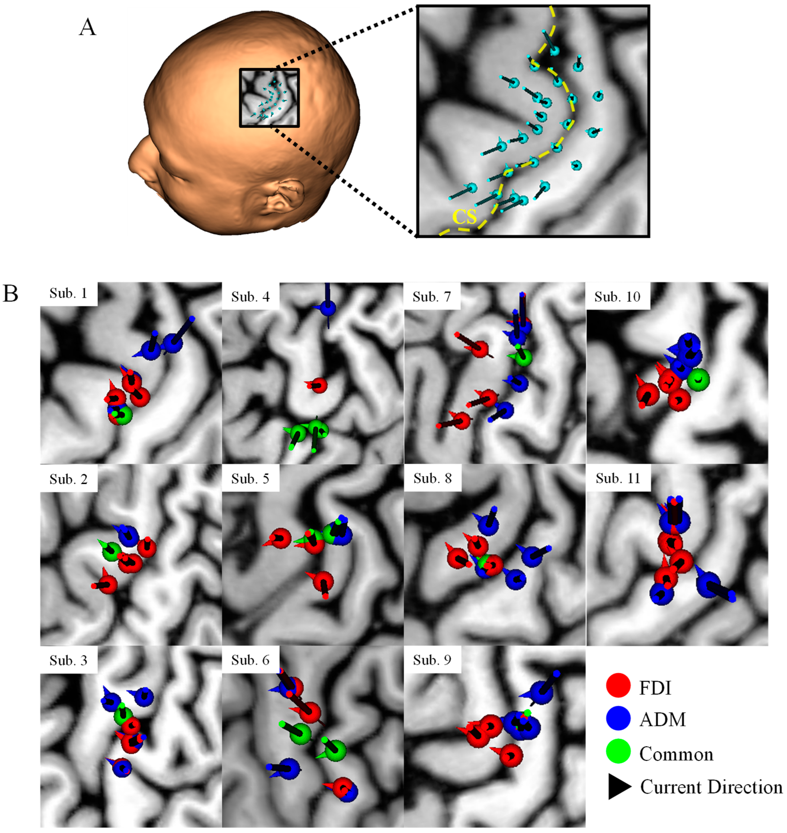 Brainsci 13 00116 g0a1 Brainsci 13 00116 g0a1