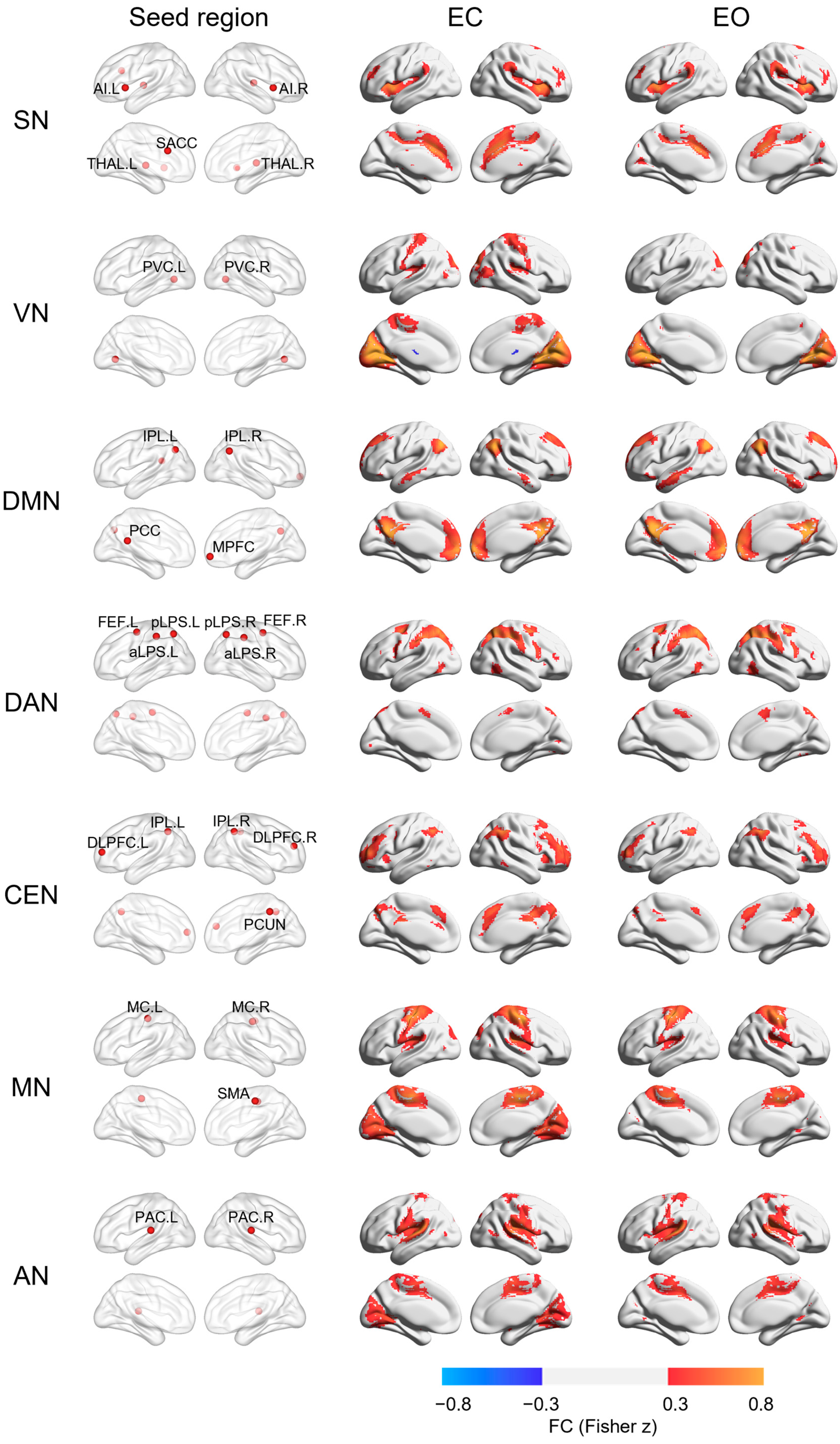 Brainsci 13 00122 g001