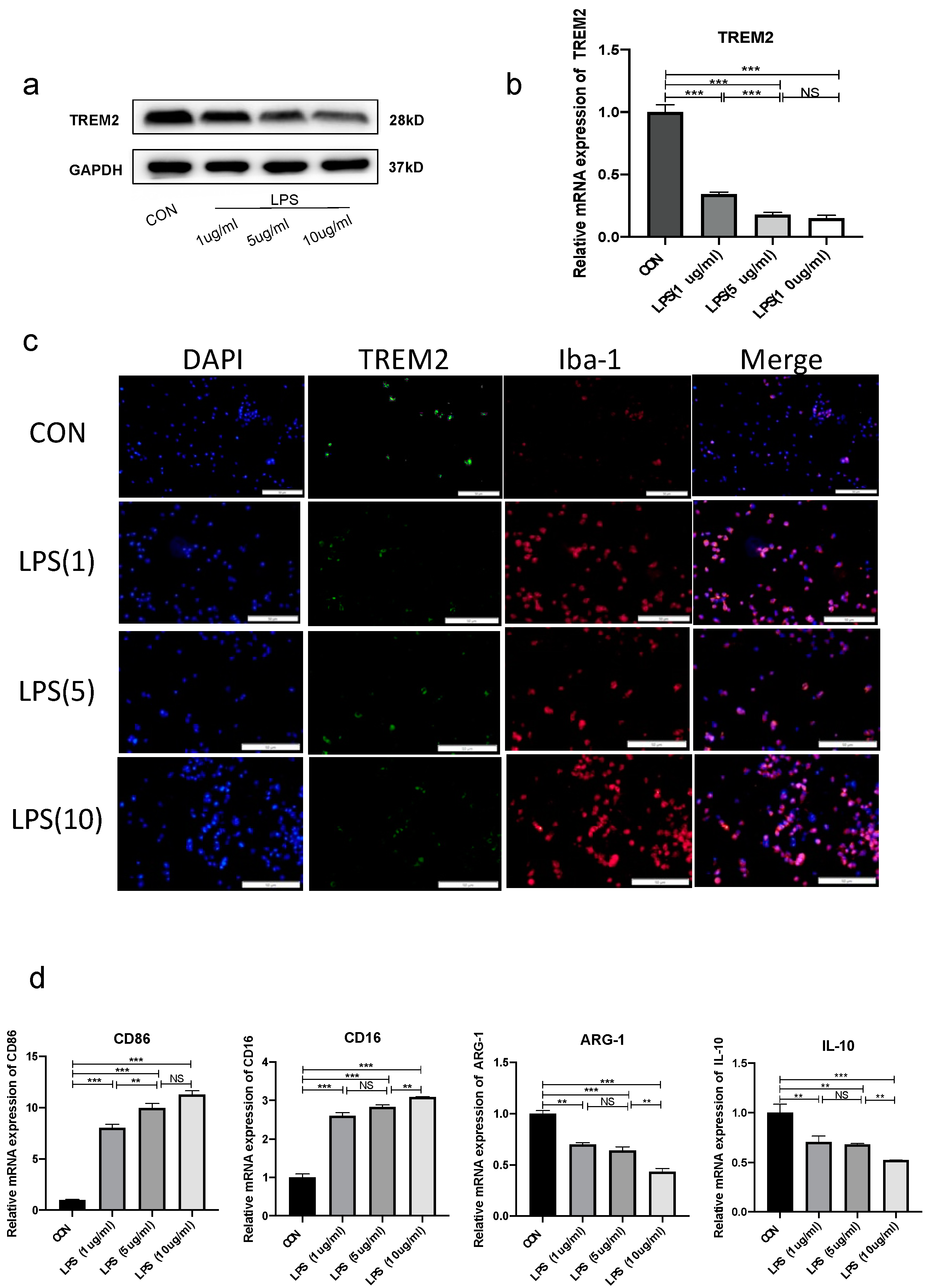 Brainsci 13 00126 g002
