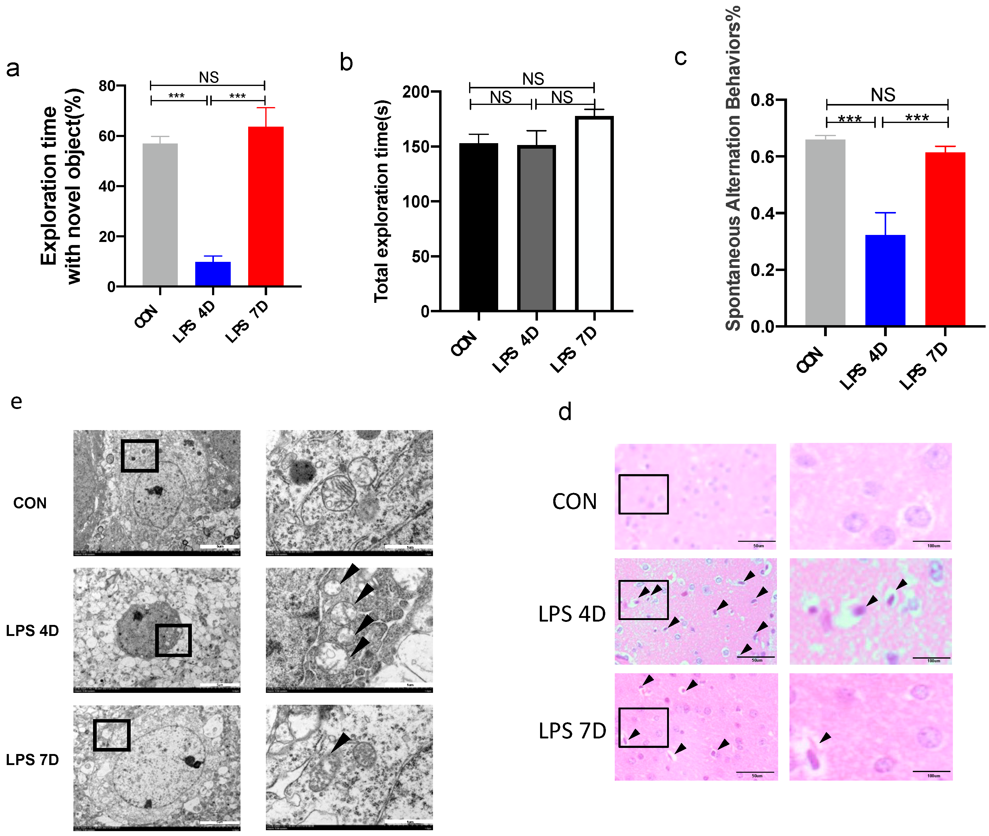 Brainsci 13 00126 g004