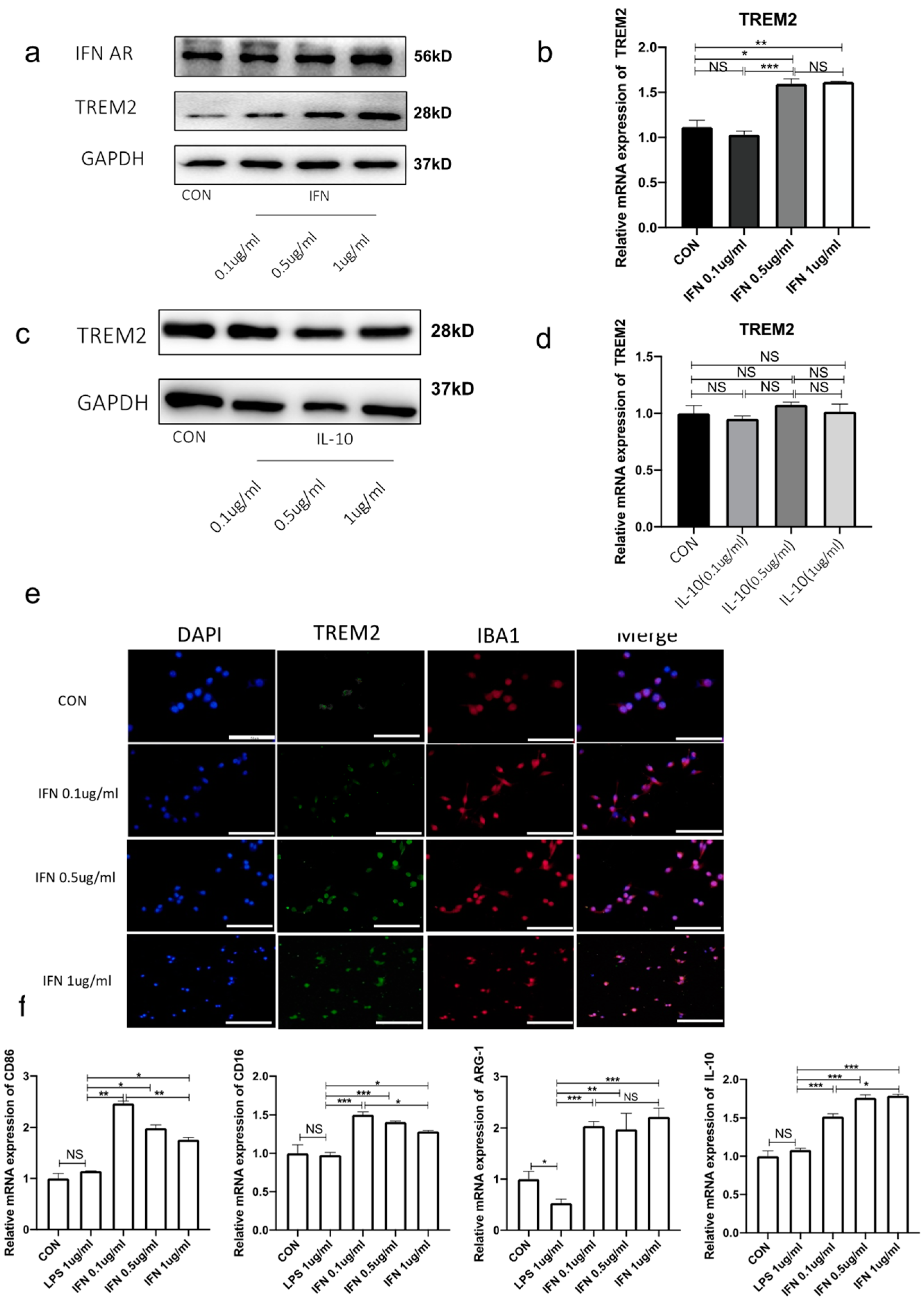 Brainsci 13 00126 g006