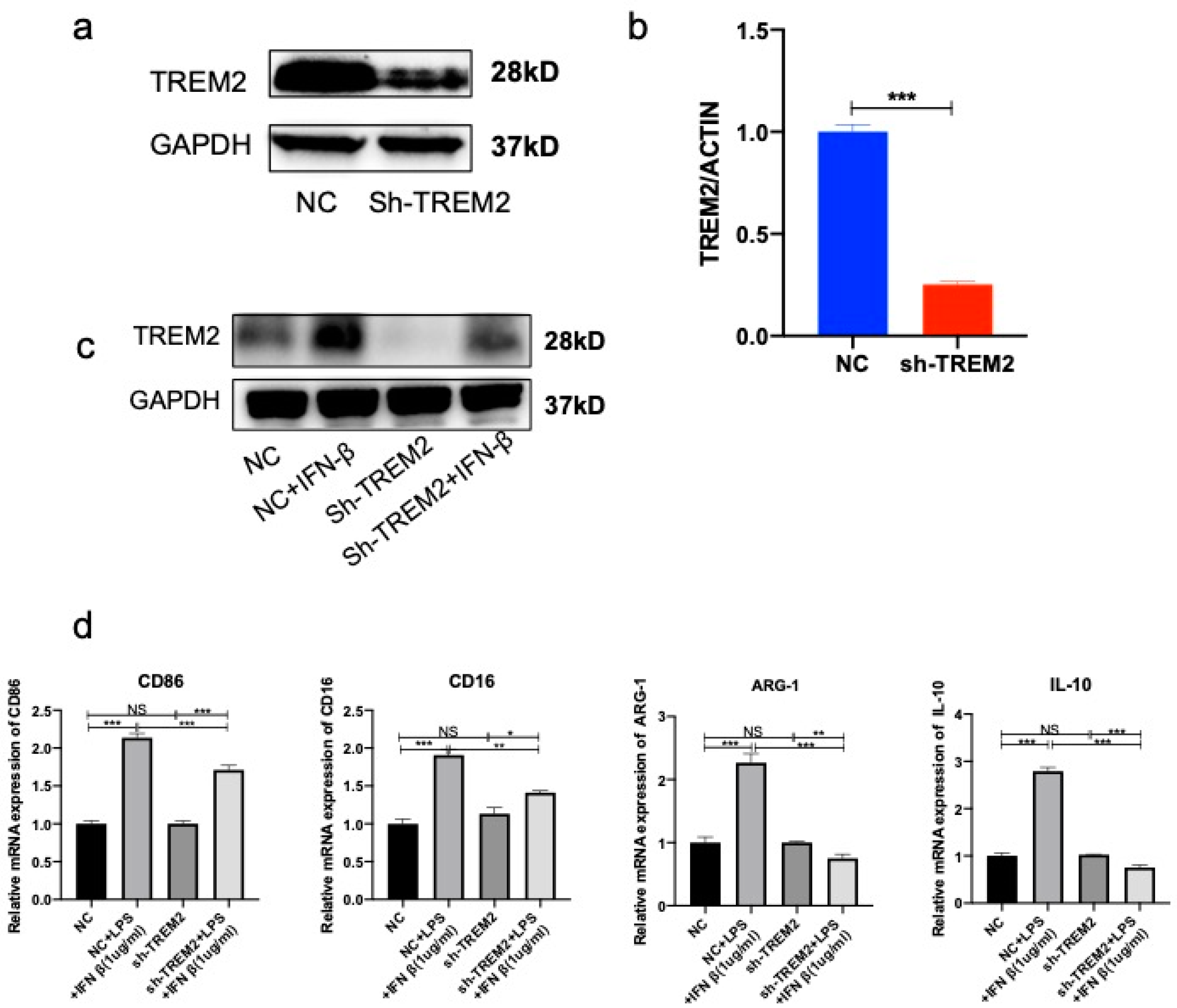 Brainsci 13 00126 g007