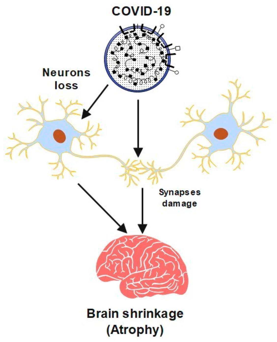 Brainsci 13 00131 g001