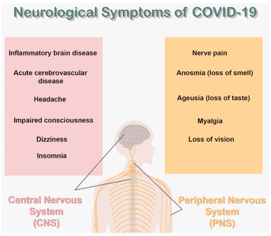 Brainsci 13 00131 g003