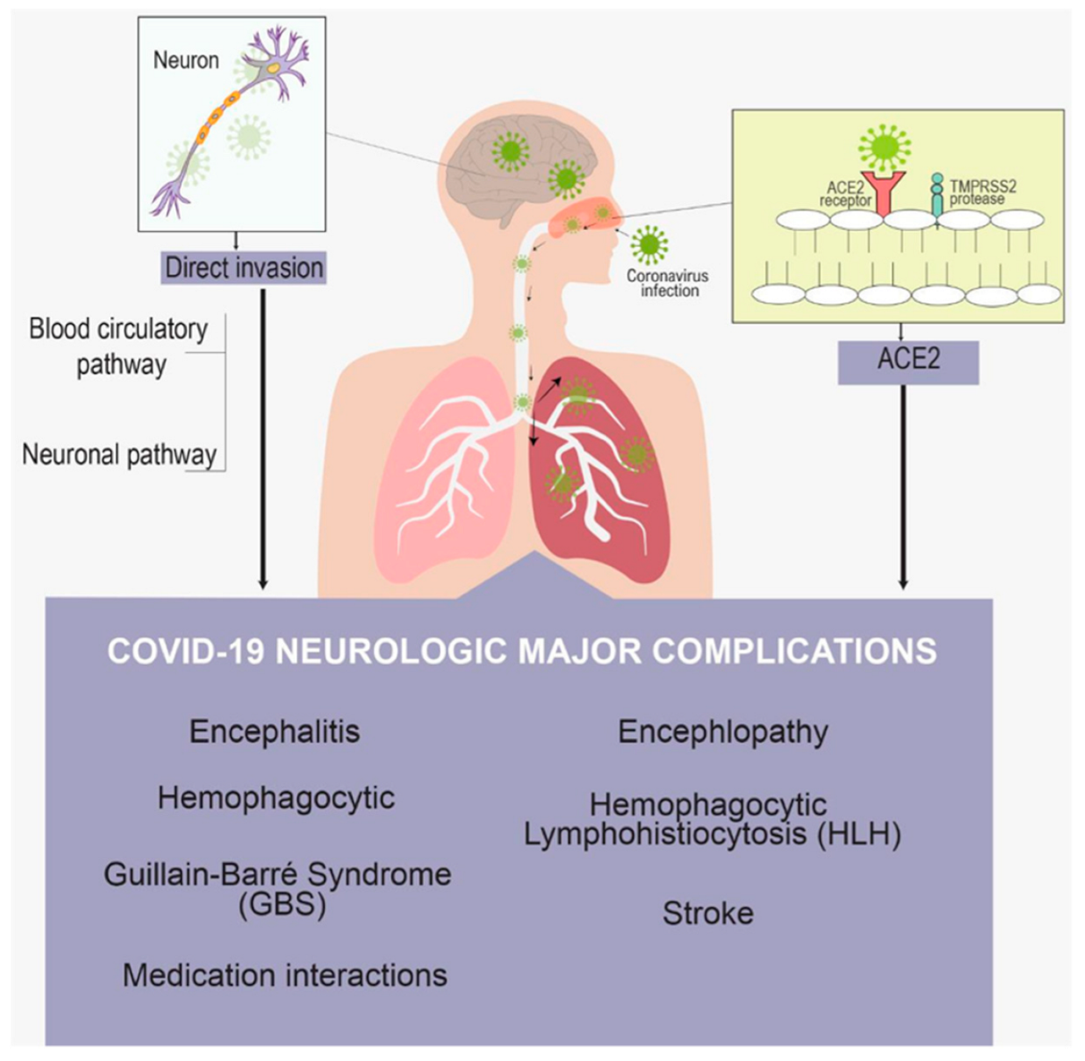 Brainsci 13 00131 g004