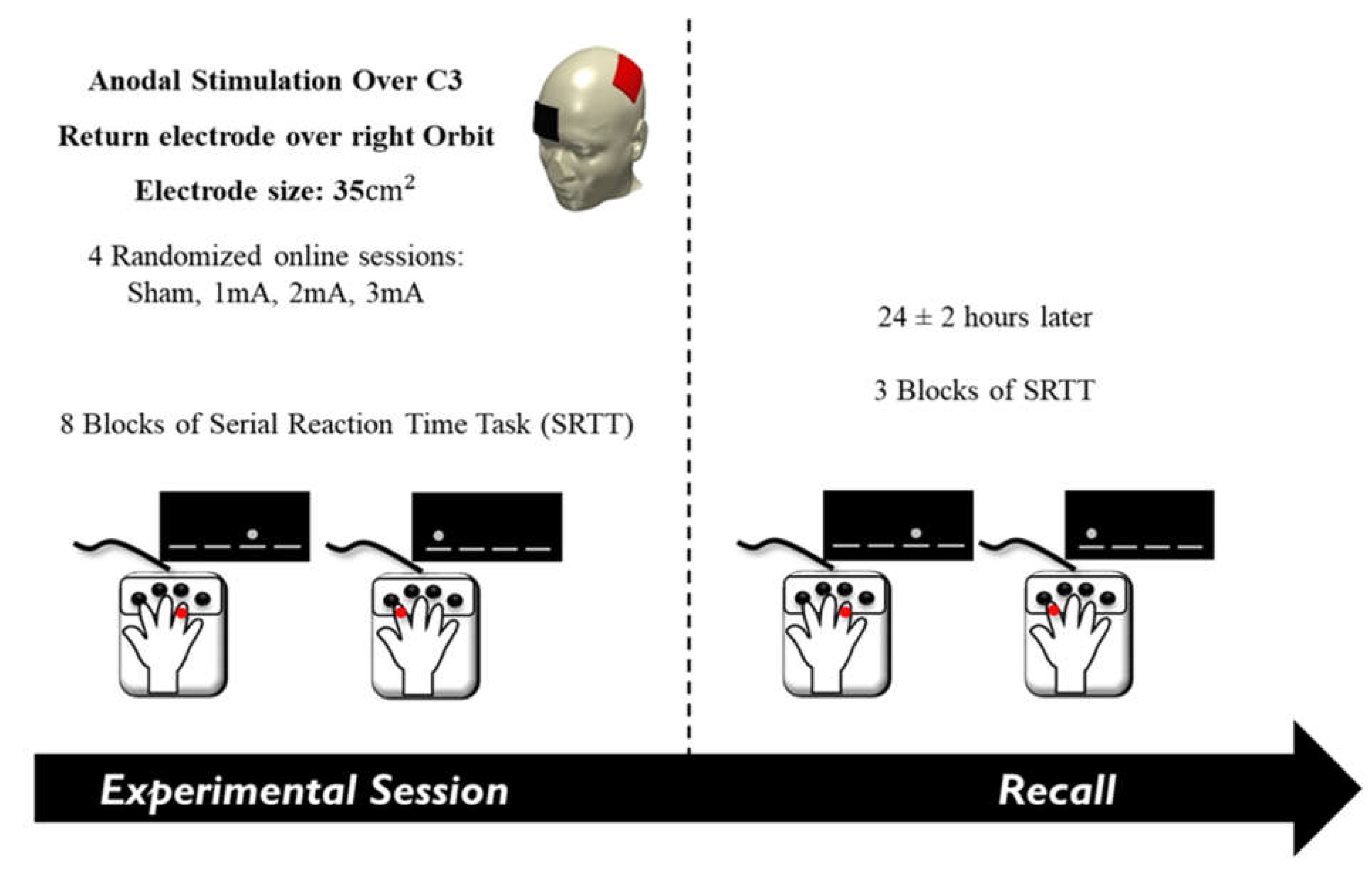 Brainsci 13 00137 g001