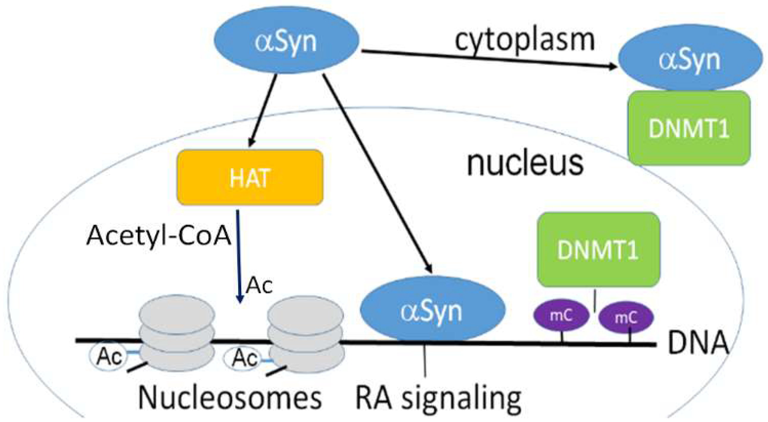 Brainsci 13 00150 g001