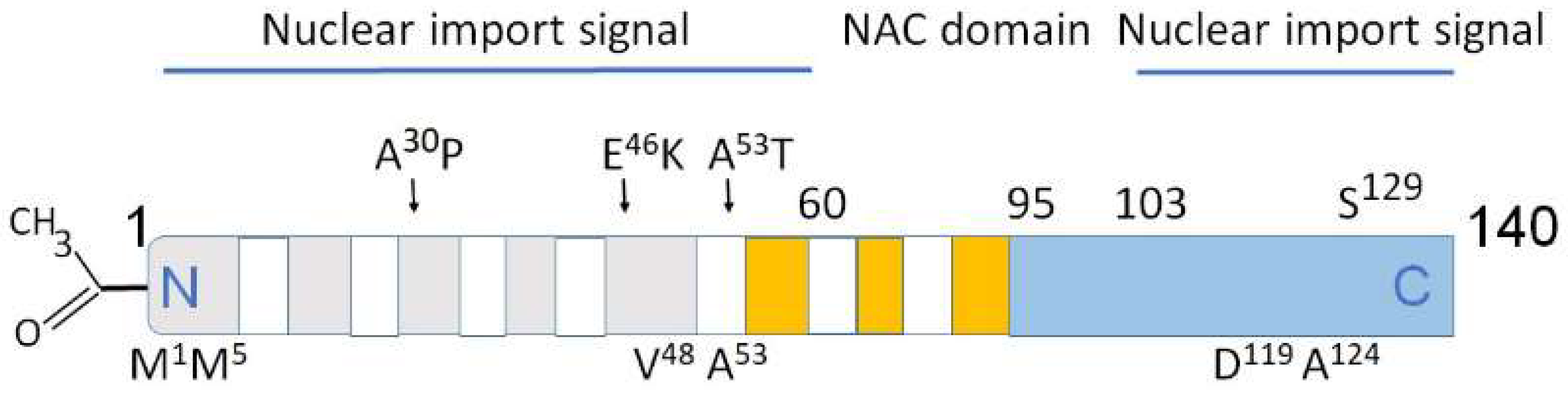 Brainsci 13 00150 g002