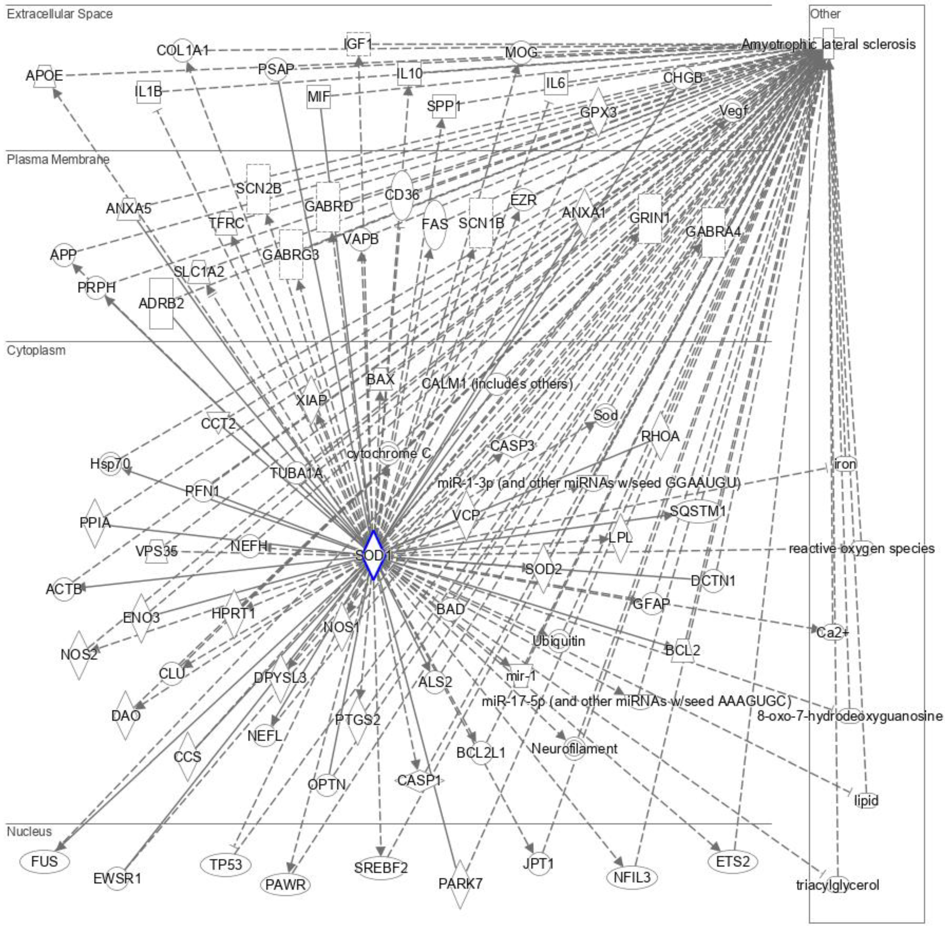Brainsci 13 00151 g003