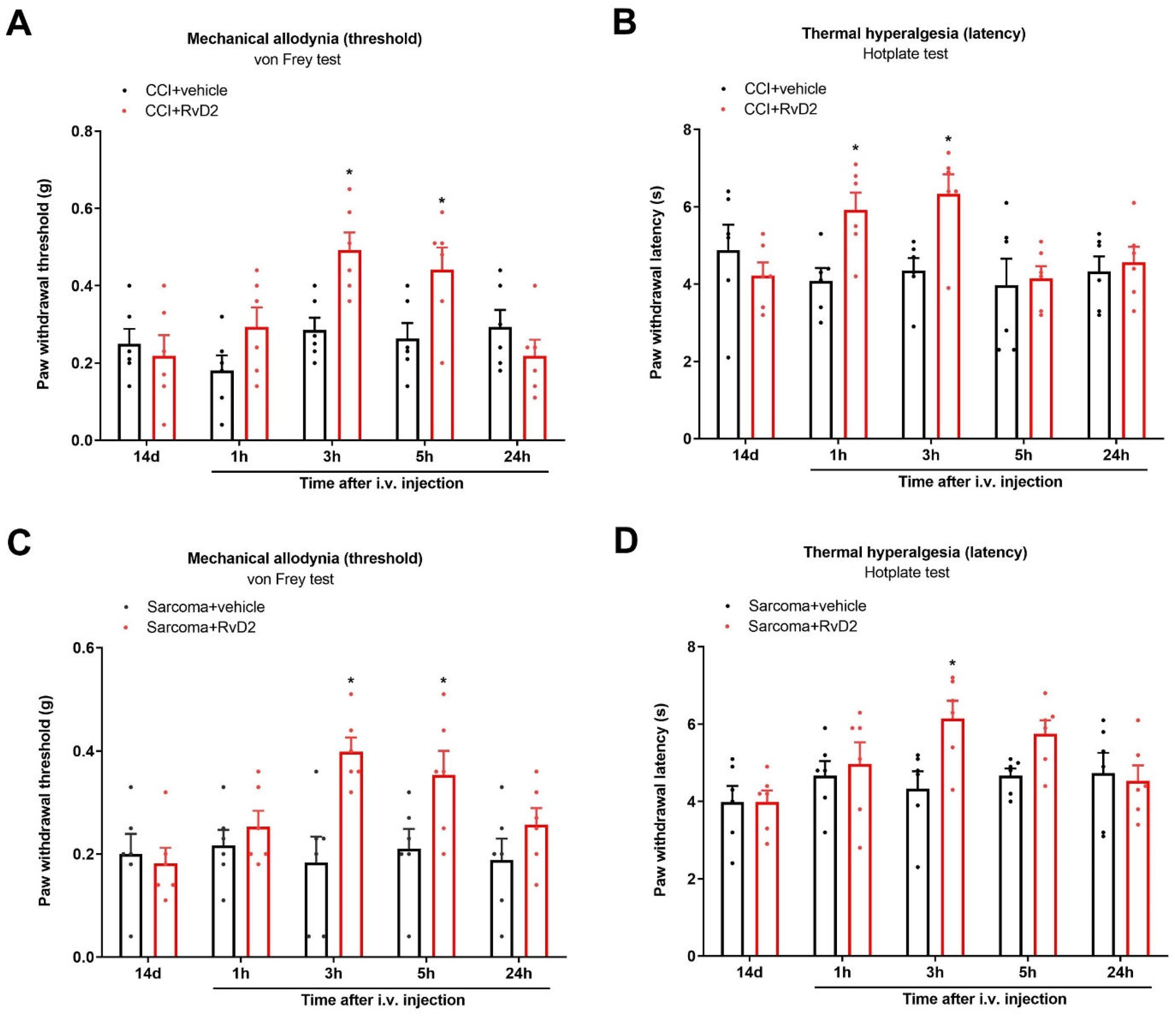 Brainsci 13 00152 g008 Brainsci 13 00152 g008