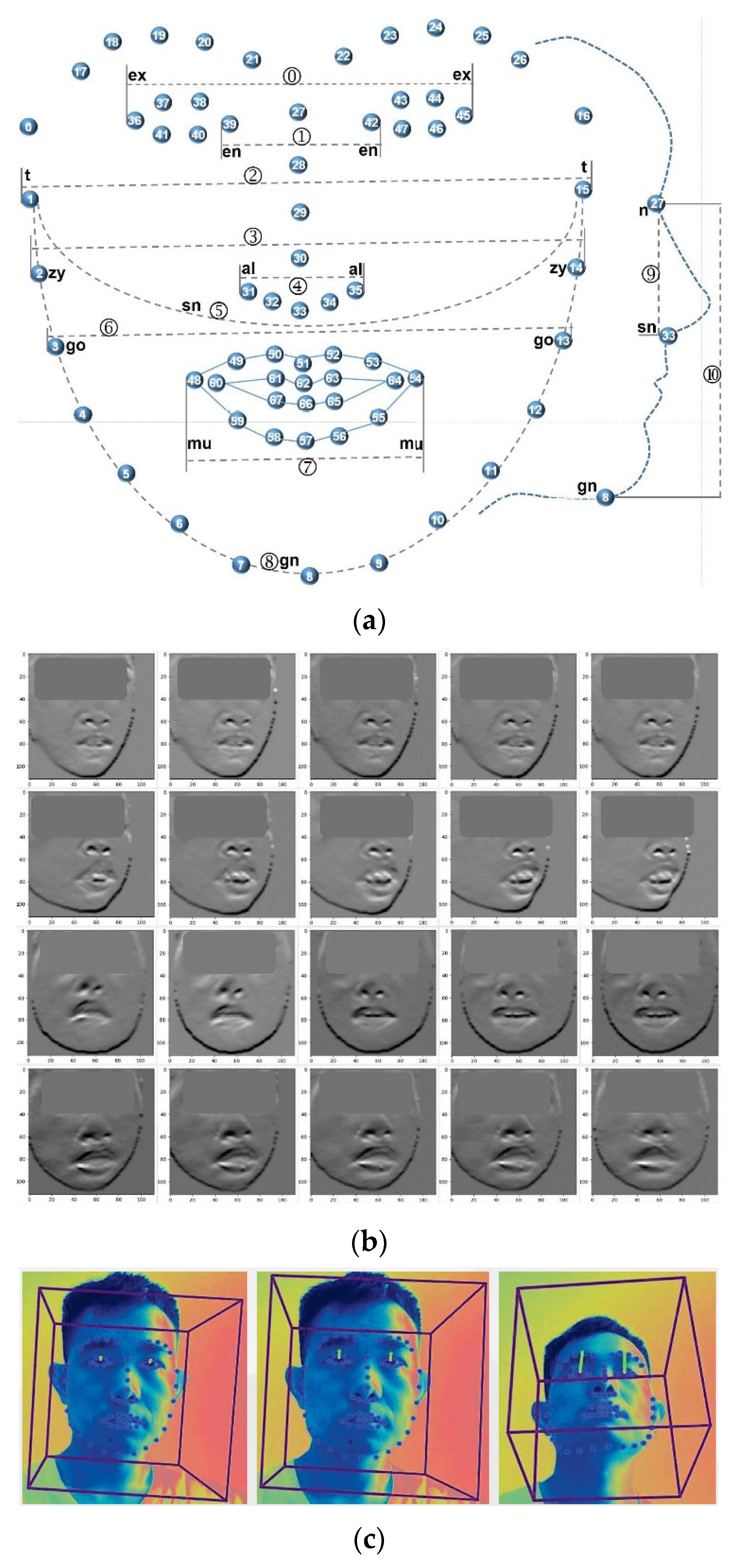 Brainsci 13 00155 g002