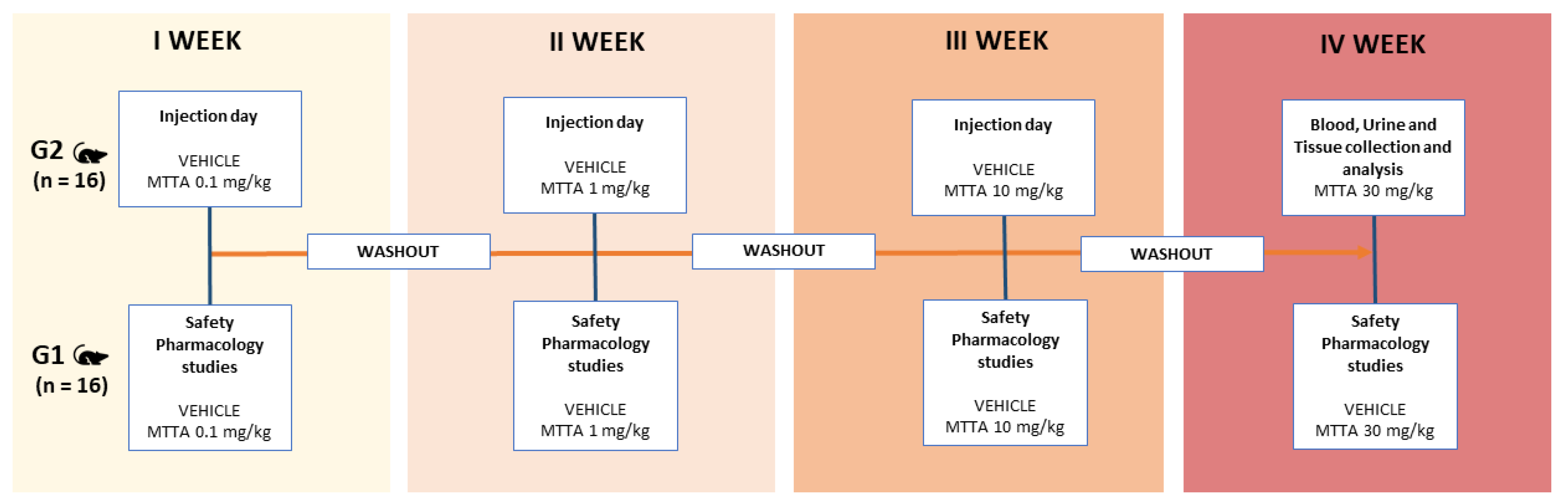 Brainsci 13 00161 g002 Brainsci 13 00161 g002