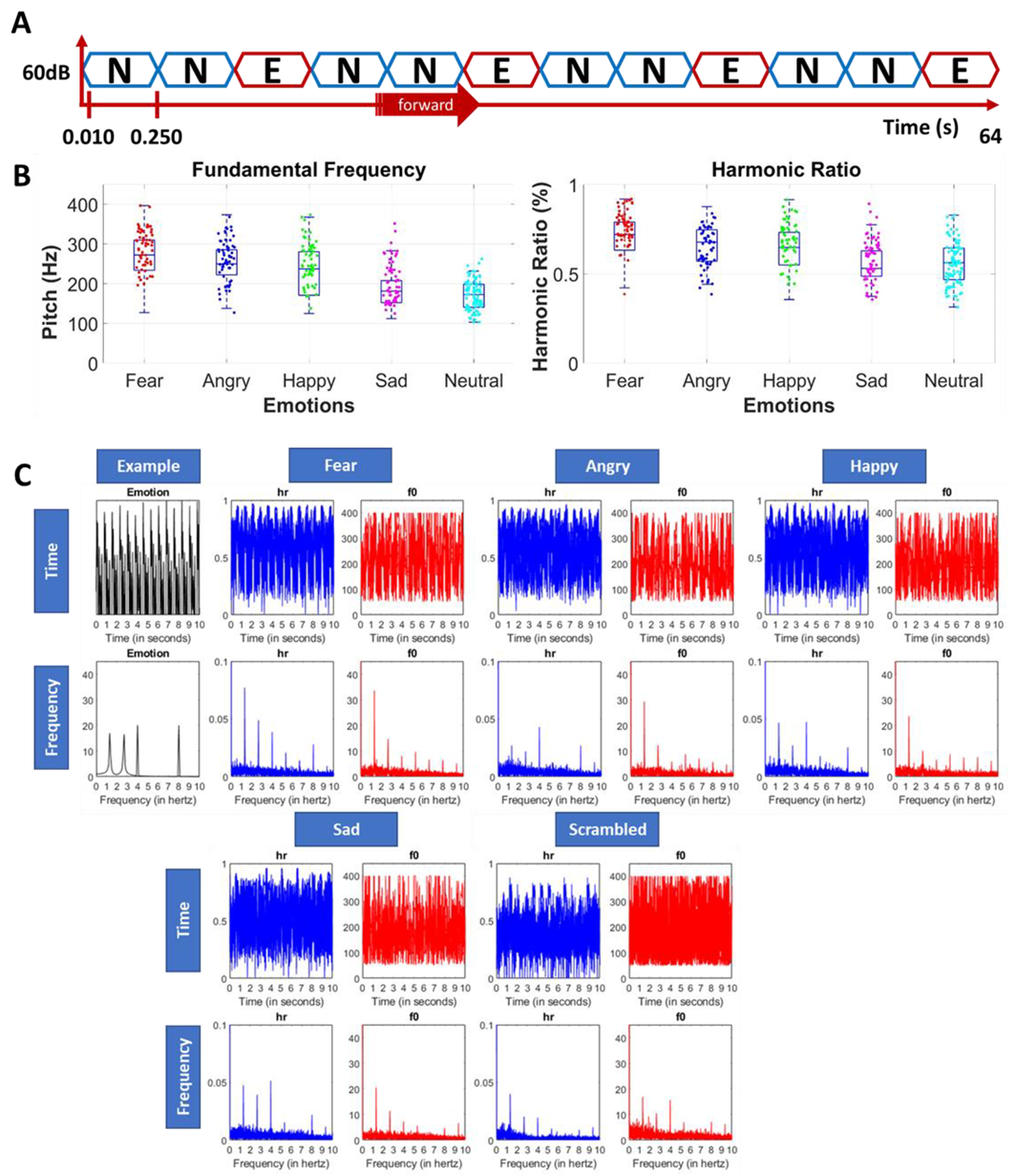 Brainsci 13 00162 g002