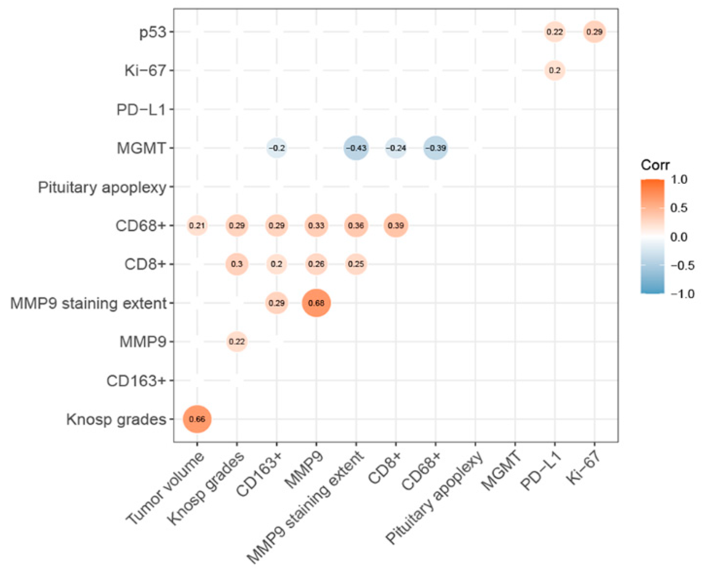 Brainsci 13 00164 g002 Brainsci 13 00164 g002