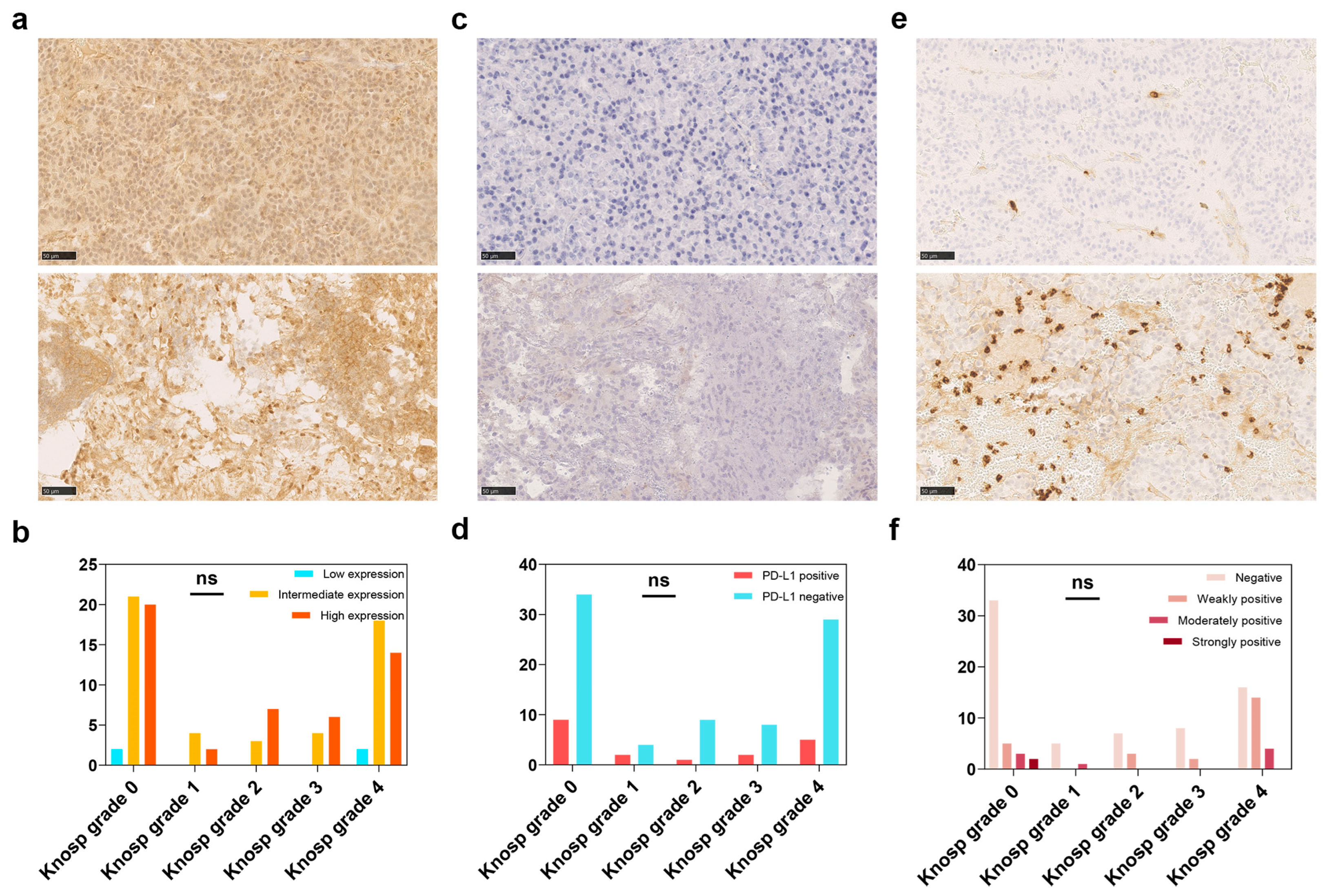 Brainsci 13 00164 g003 Brainsci 13 00164 g003