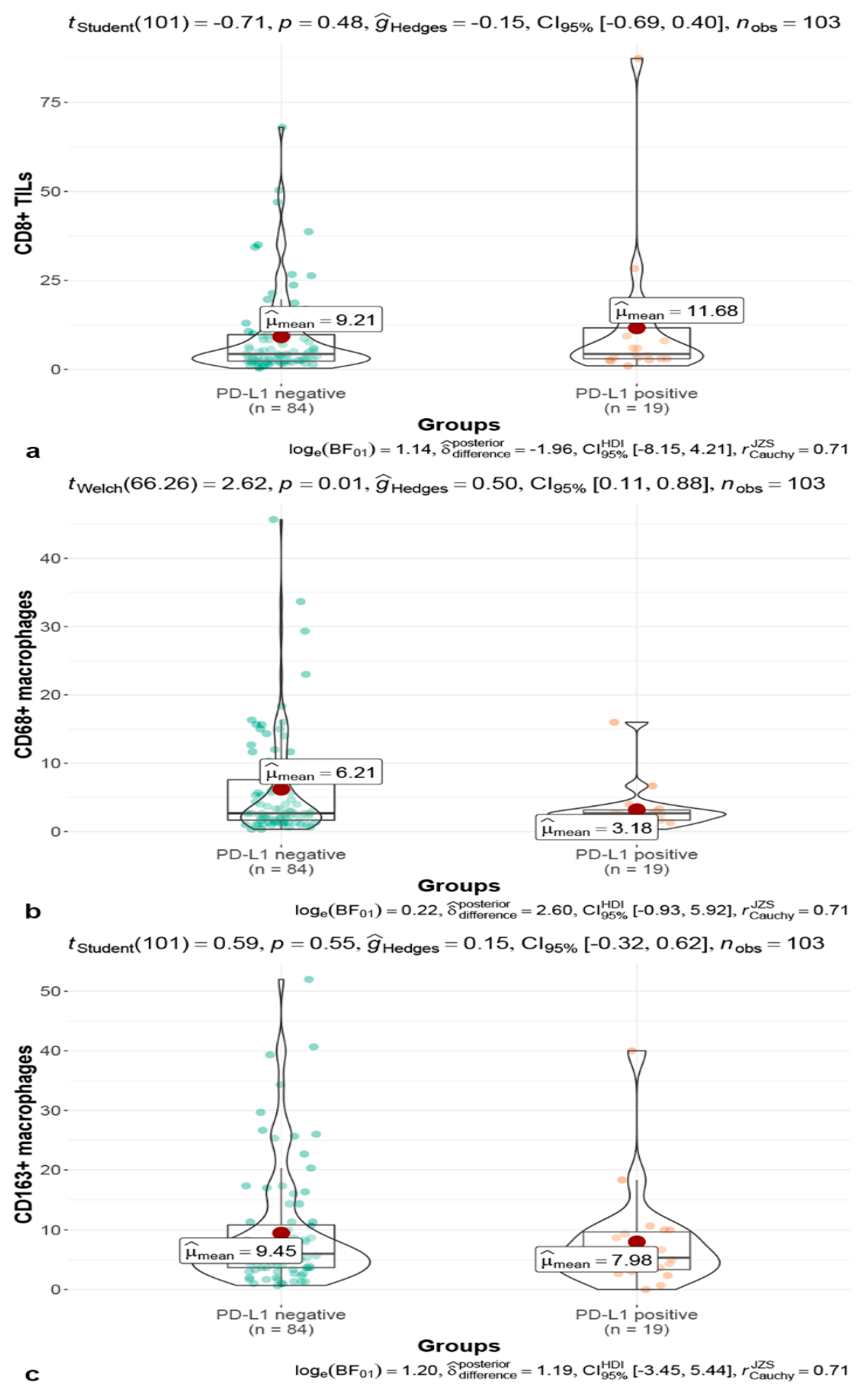 Brainsci 13 00164 g004 Brainsci 13 00164 g004