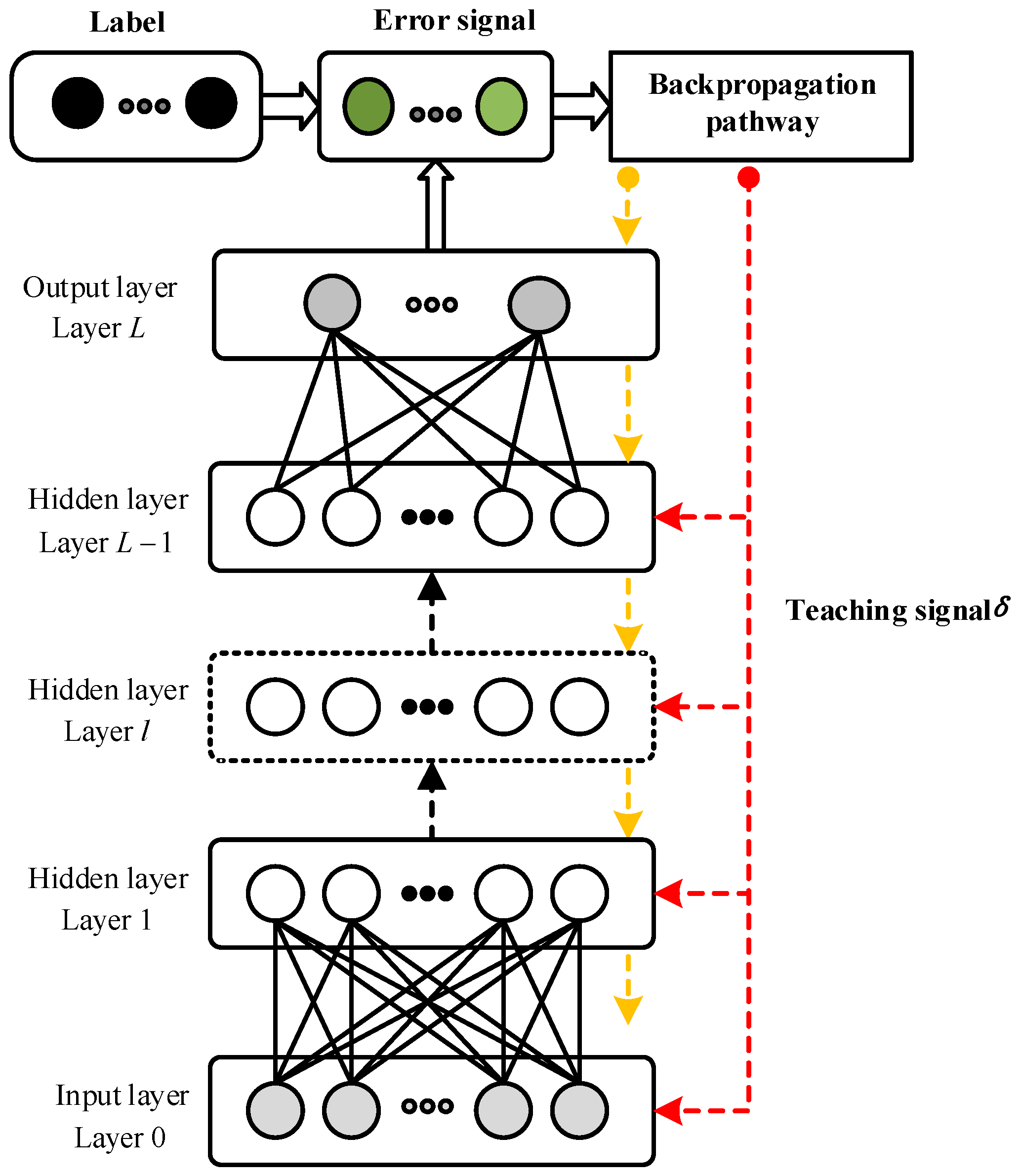 Brainsci 13 00168 g001