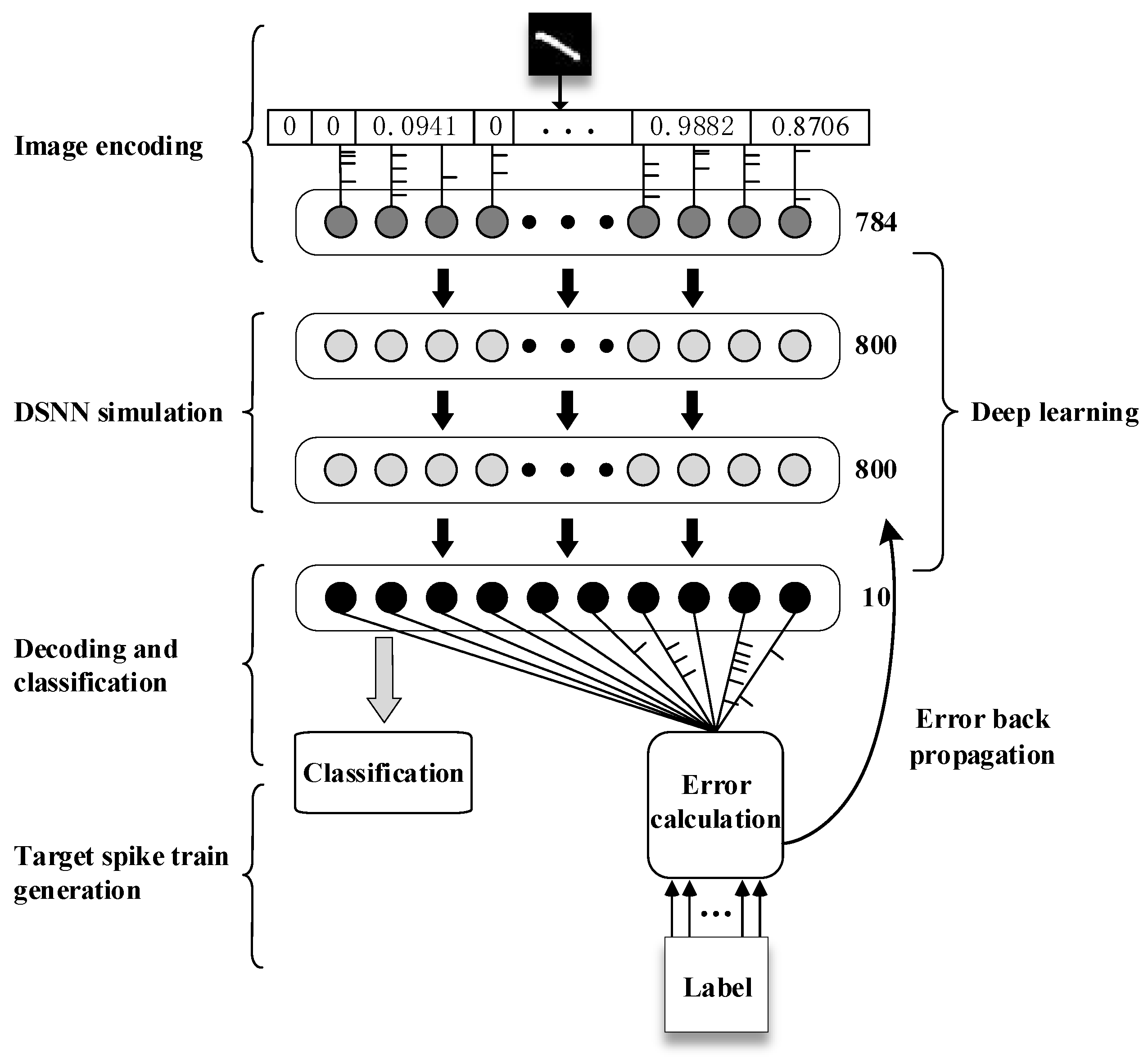Brainsci 13 00168 g002