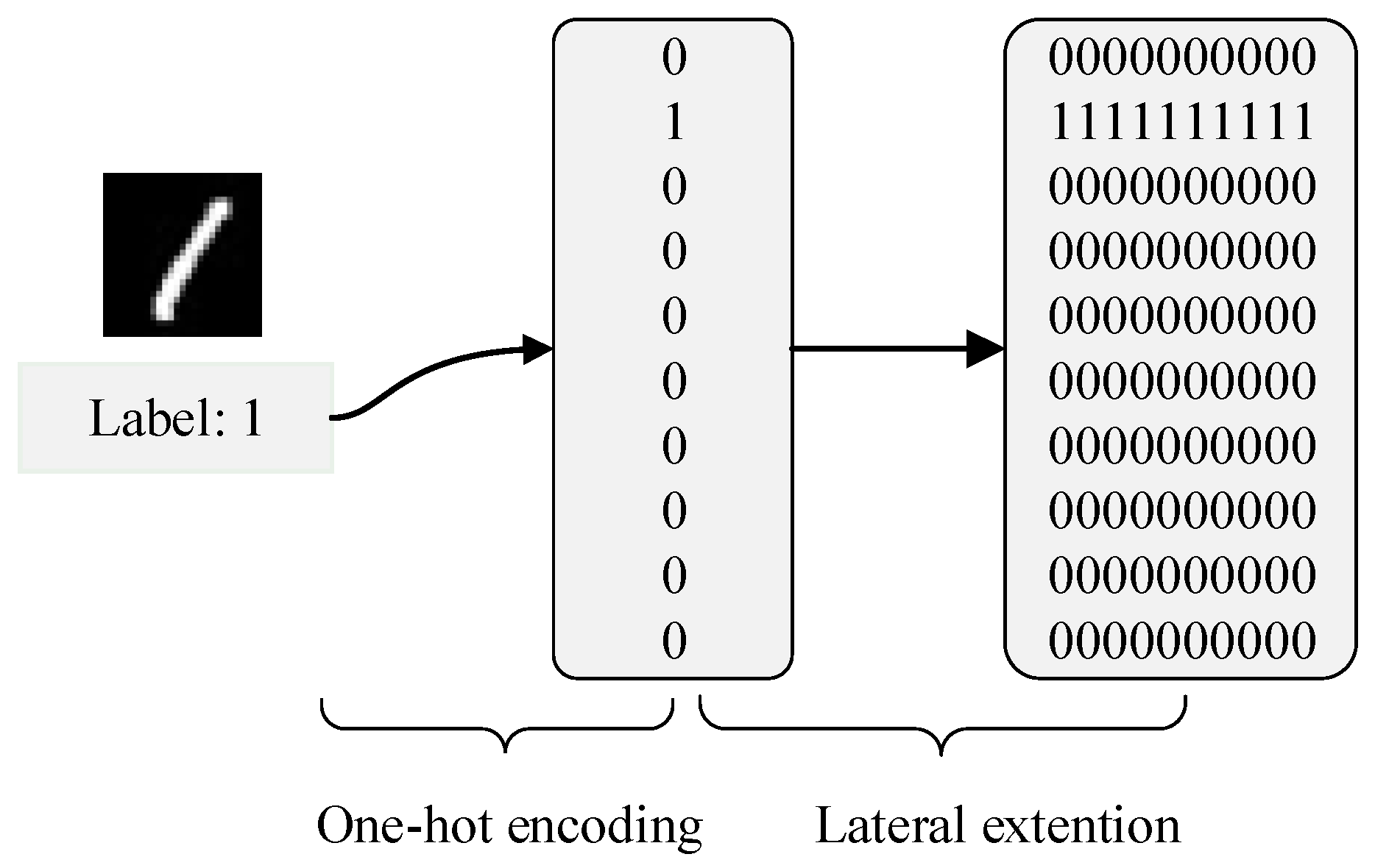 Brainsci 13 00168 g003