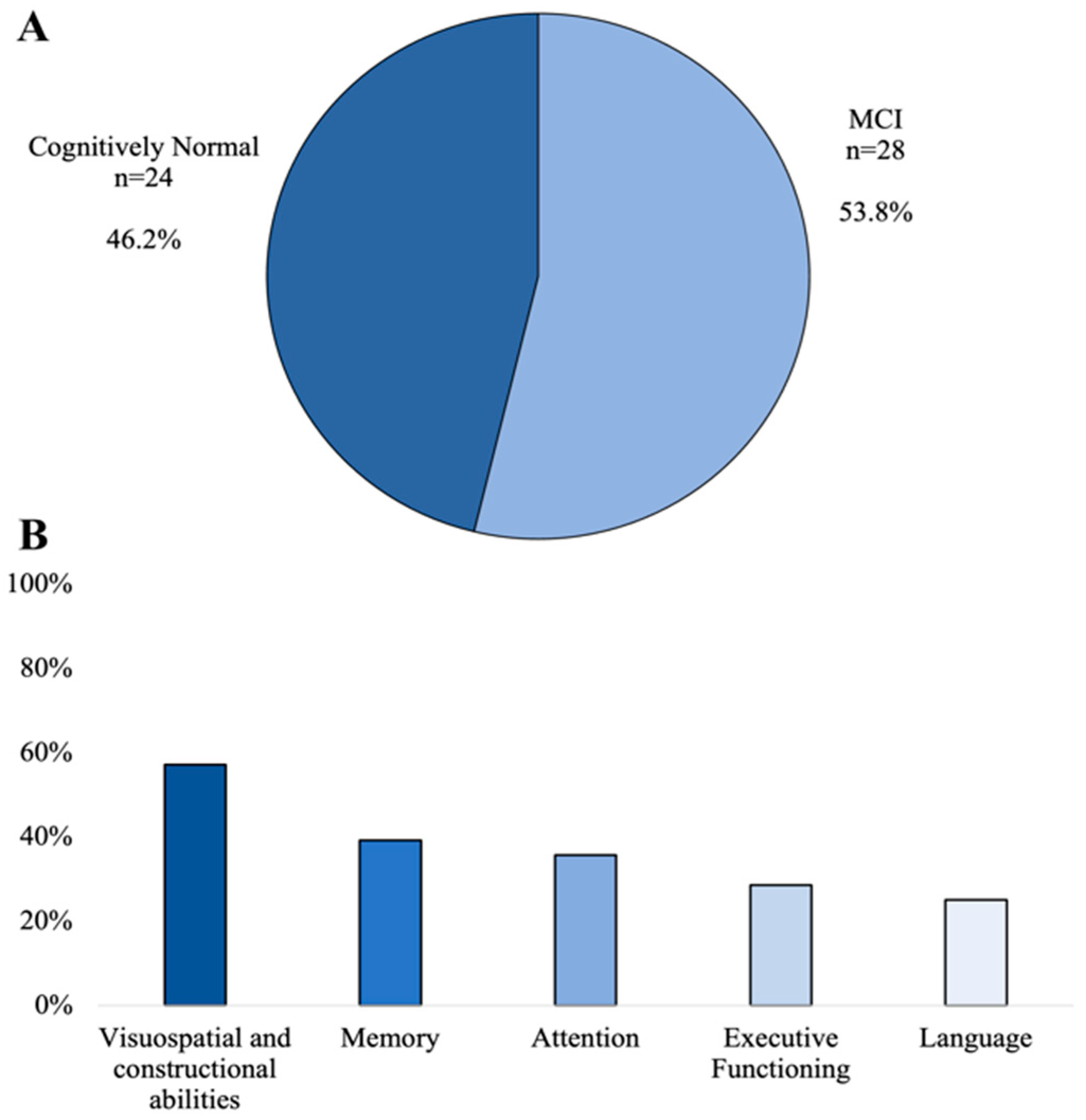 Brainsci 13 00170 g001