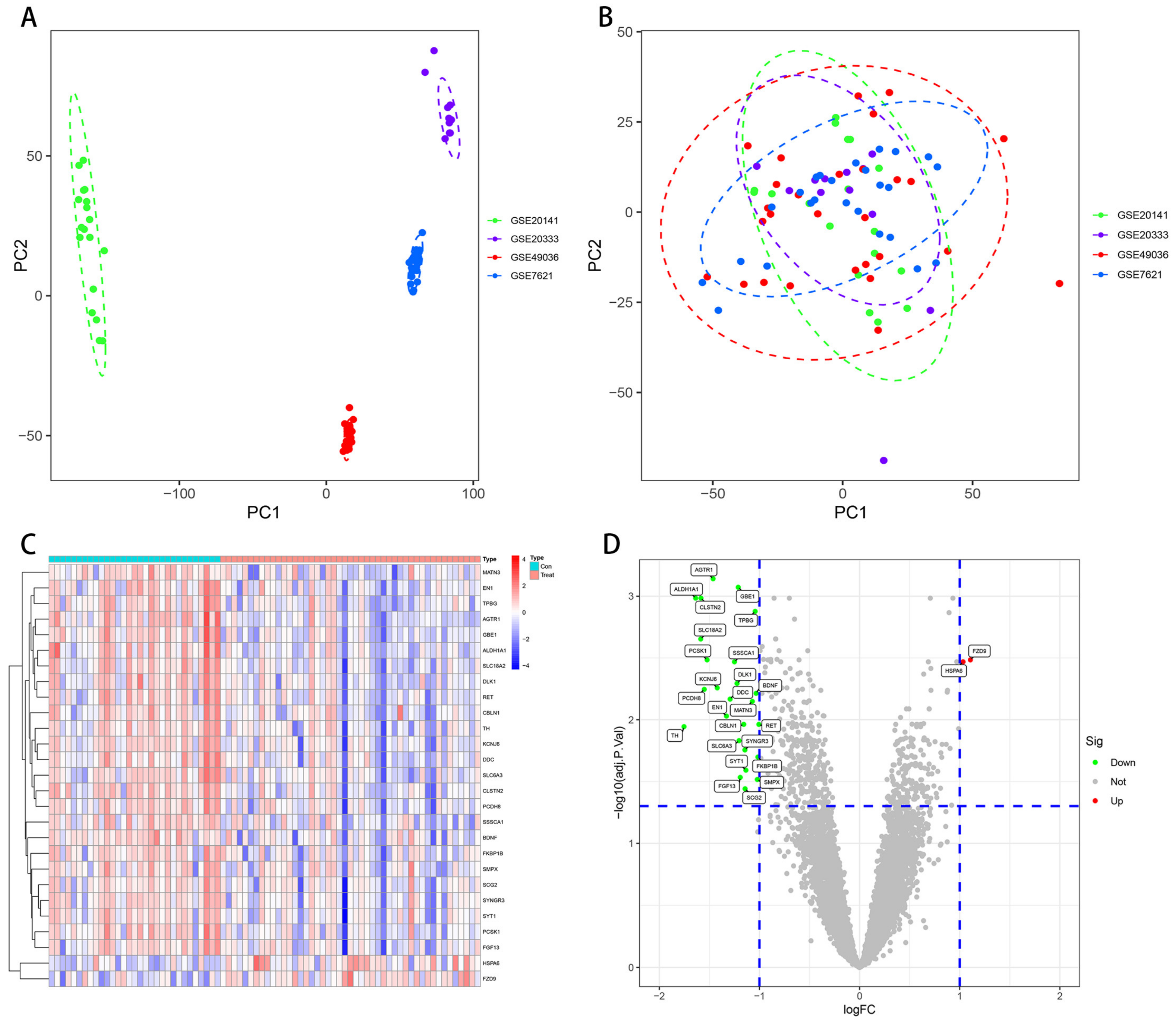 Brainsci 13 00175 g002