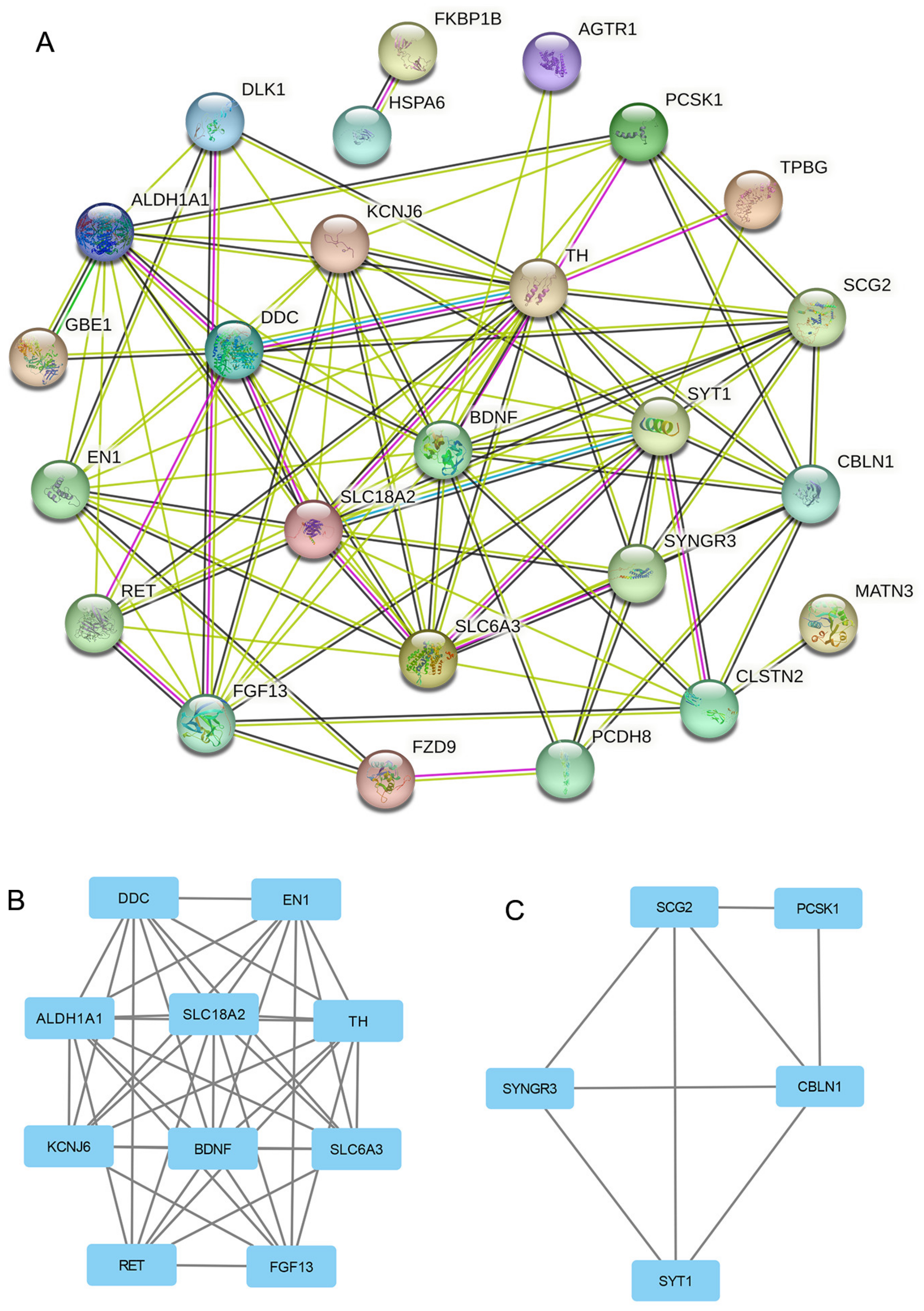 Brainsci 13 00175 g004