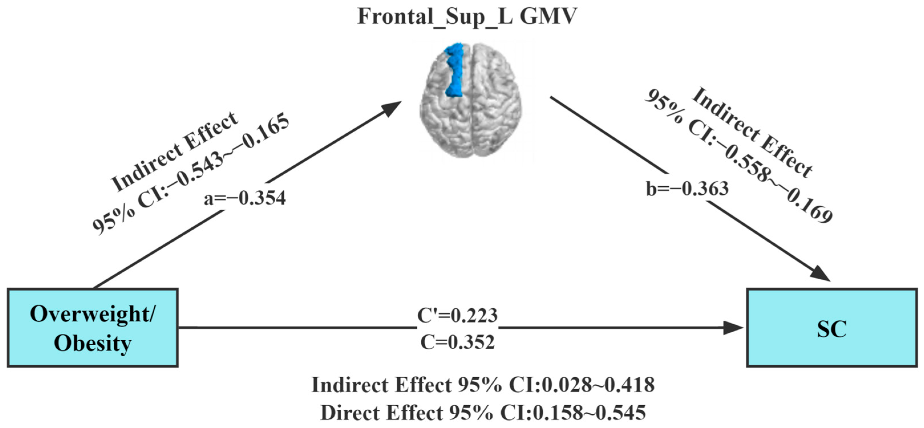 Brainsci 13 00180 g003