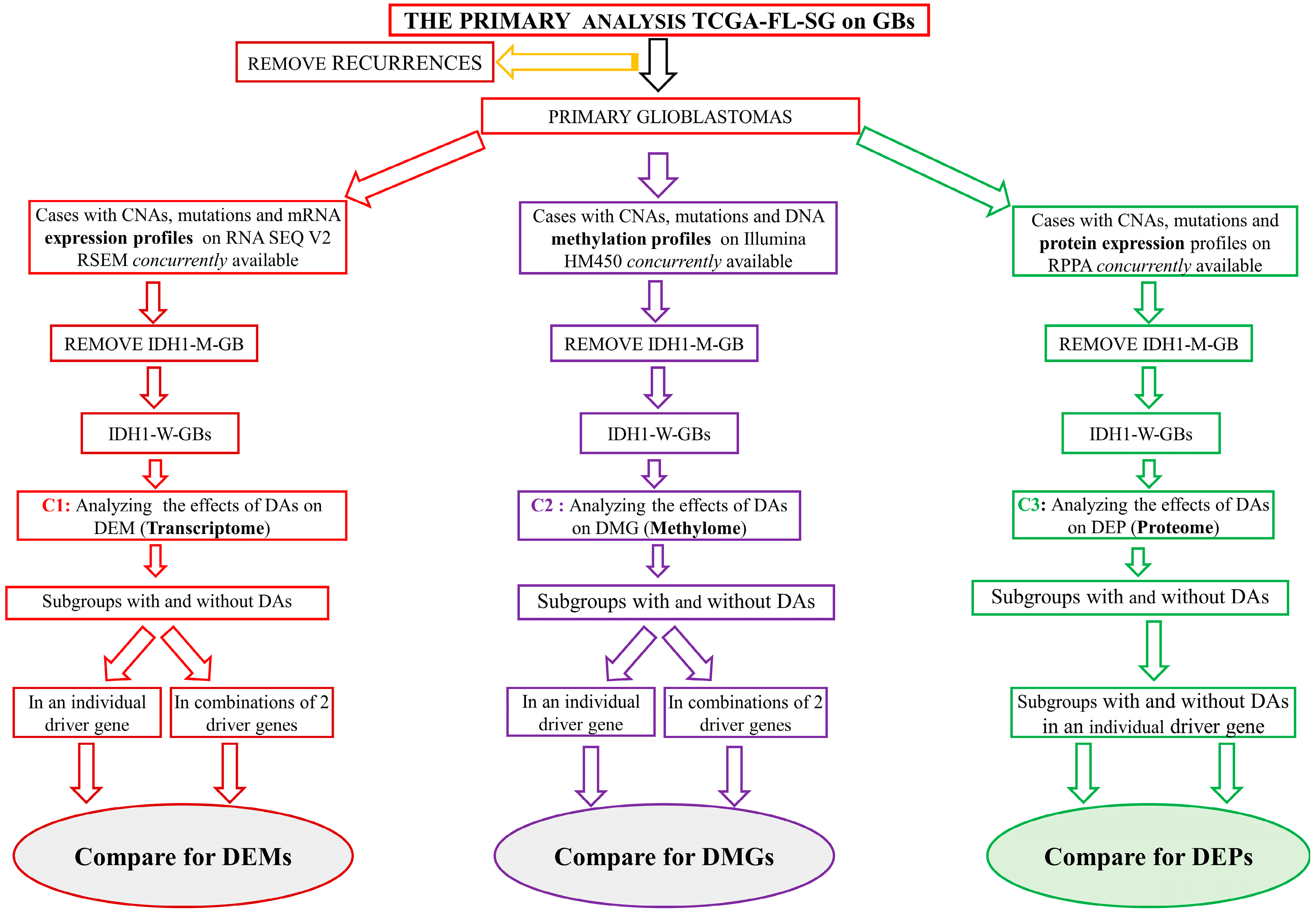 Brainsci 13 00186 g001