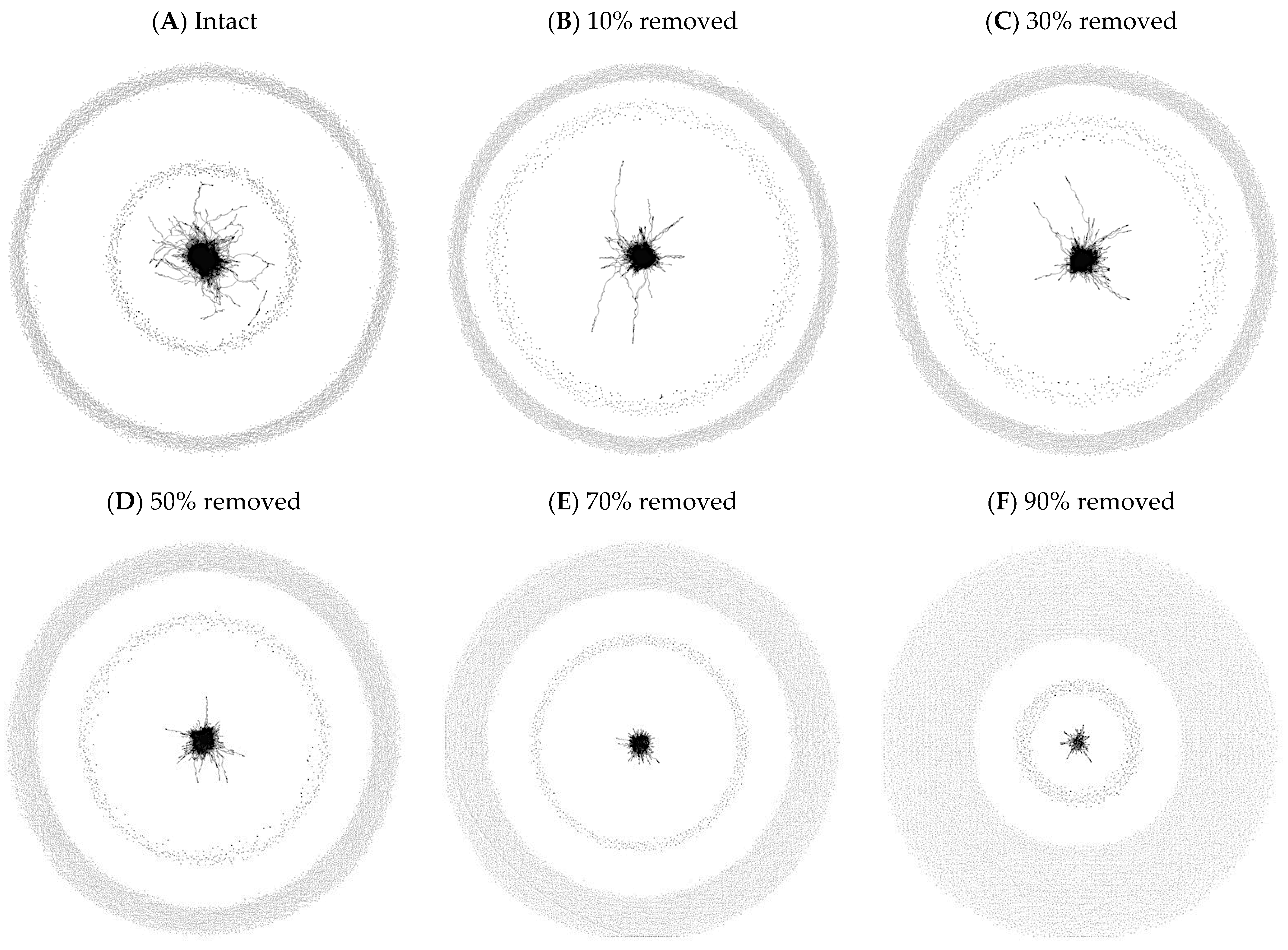 Brainsci 13 00188 g002 Brainsci 13 00188 g002