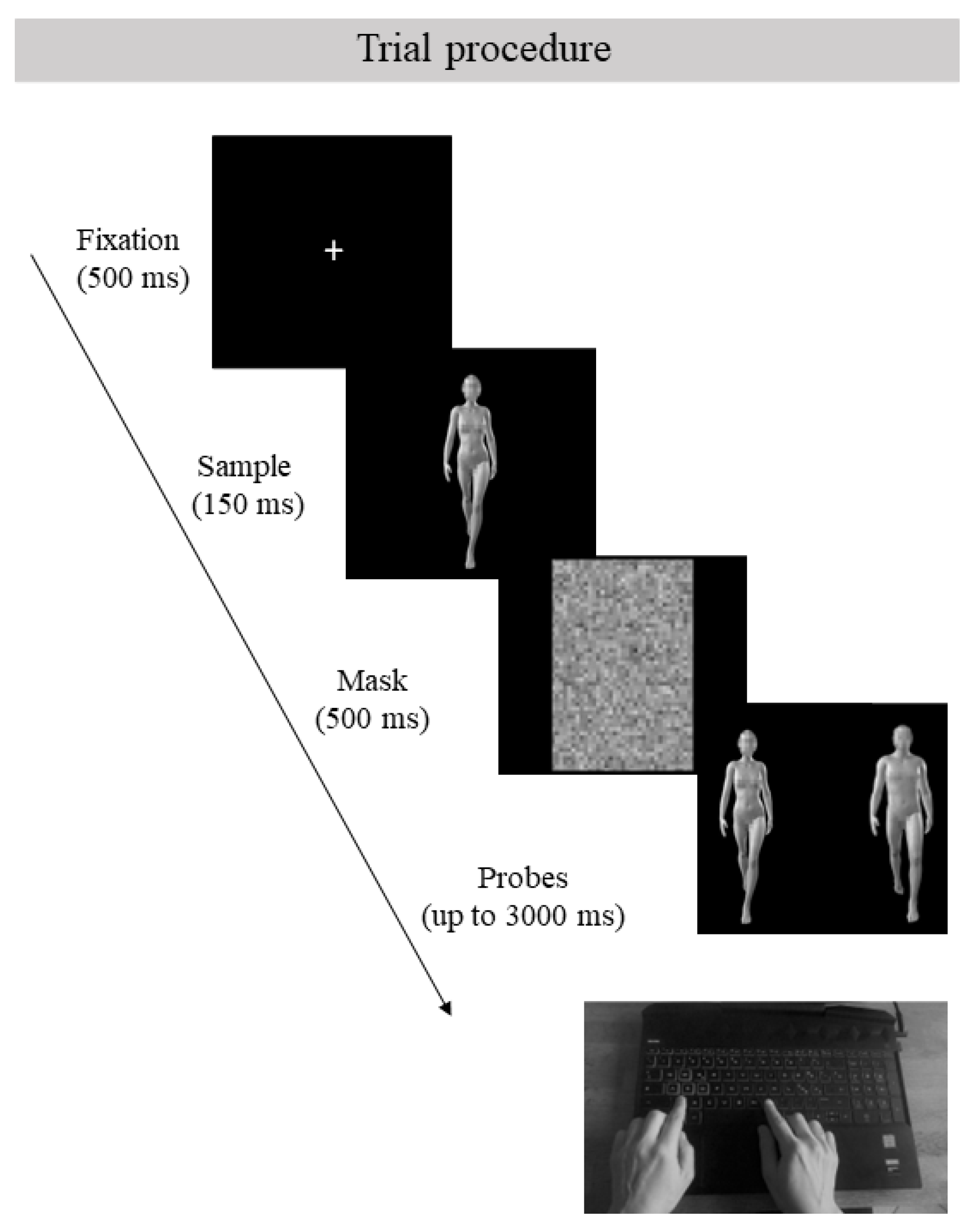 Brainsci 13 00190 g002