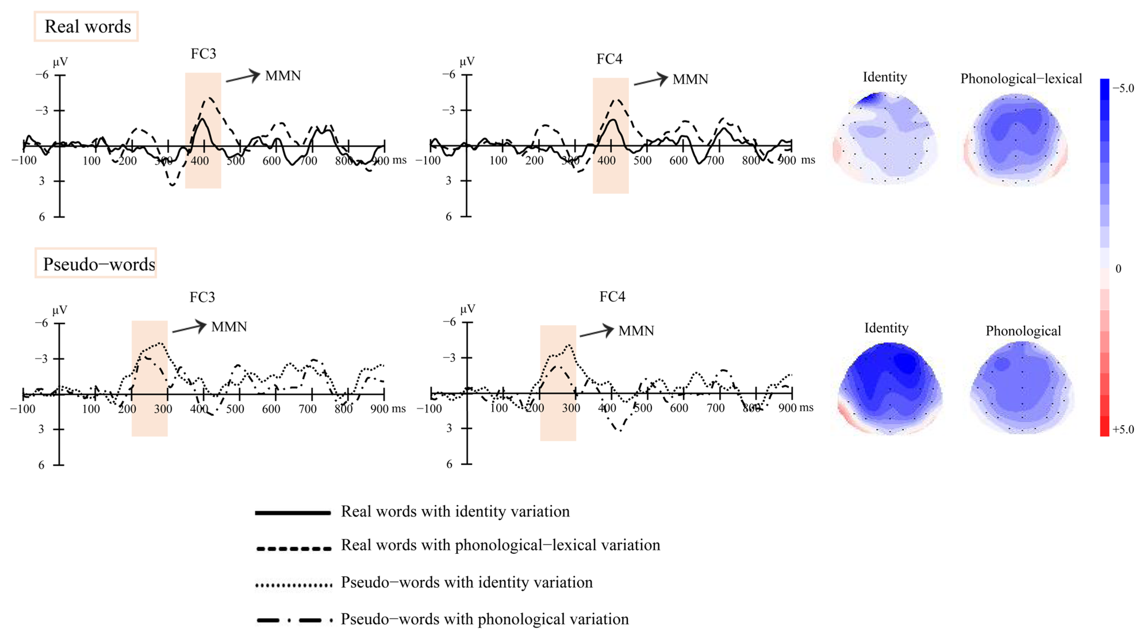 Brainsci 13 00192 g003 Brainsci 13 00192 g003