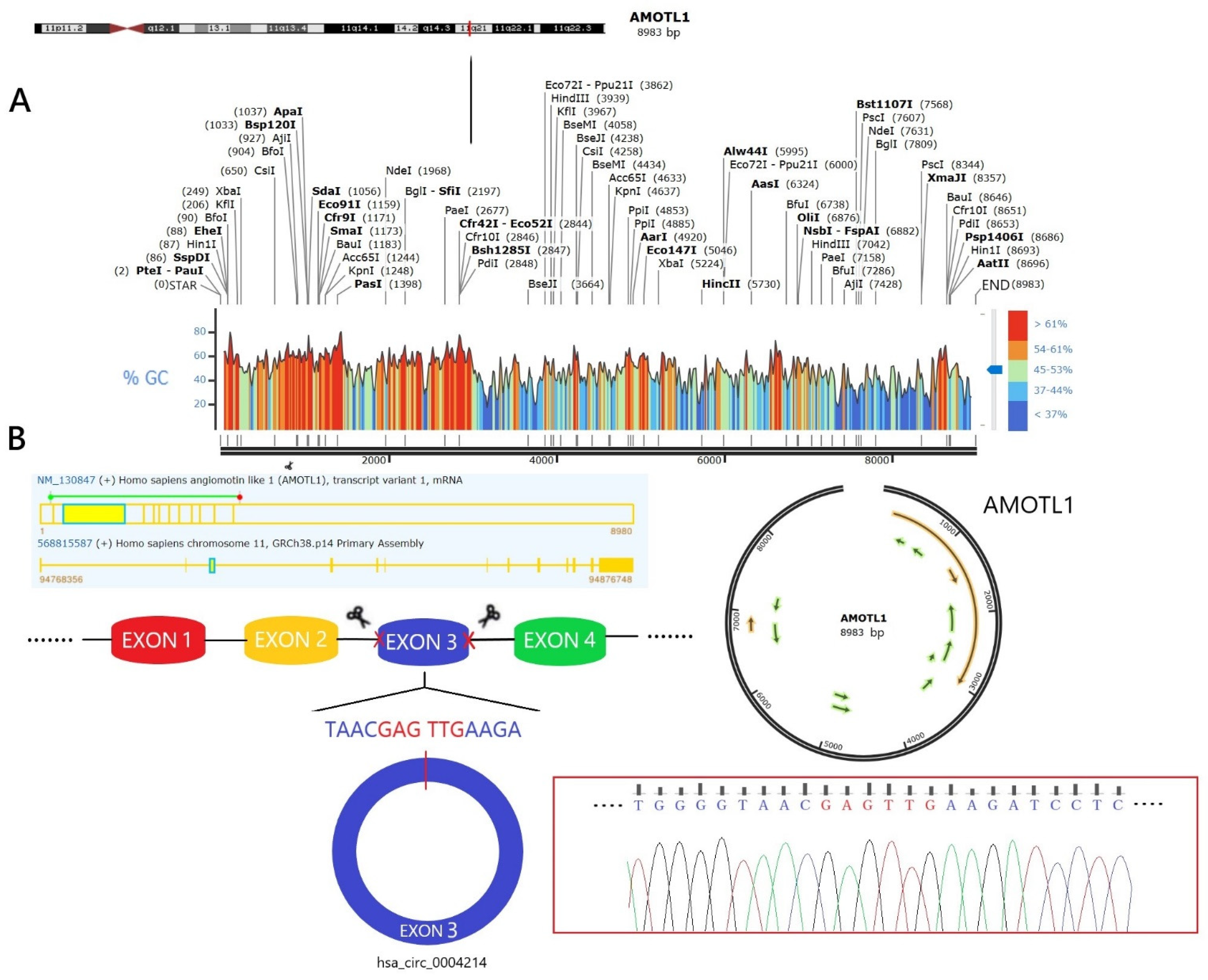 Brainsci 13 00193 g001 Brainsci 13 00193 g001