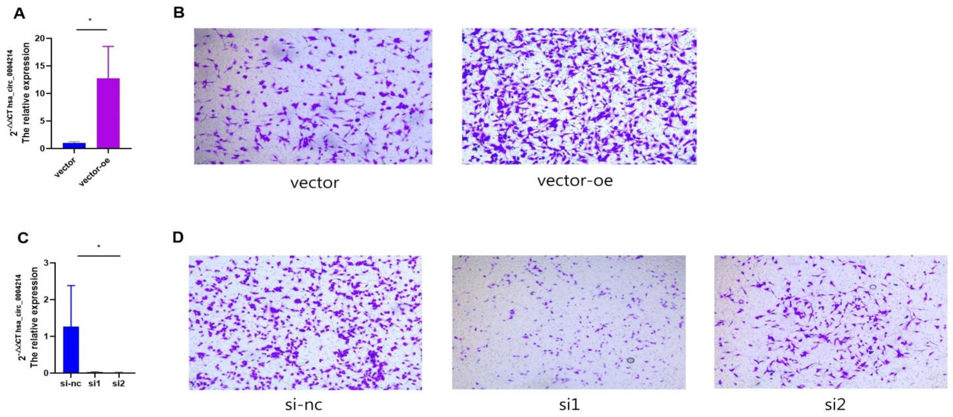 Brainsci 13 00193 g004 Brainsci 13 00193 g004