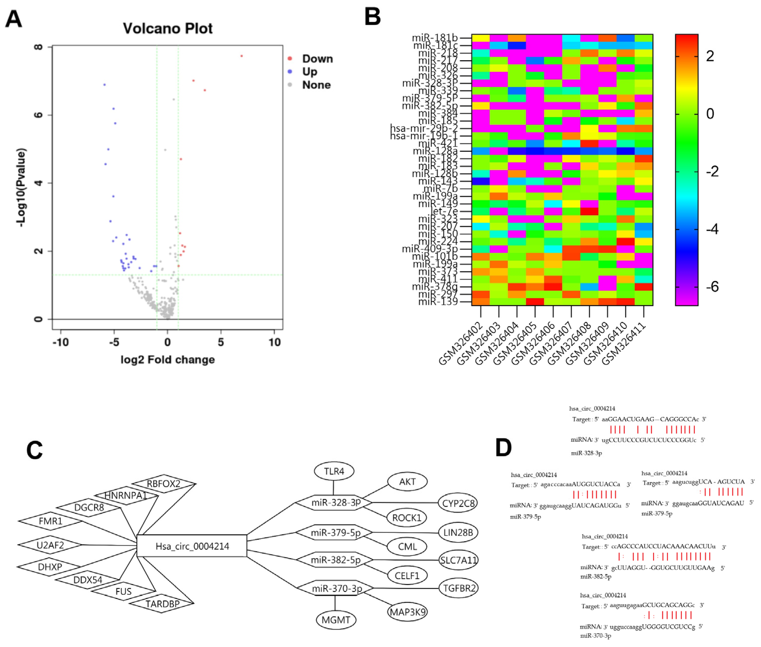 Brainsci 13 00193 g005 Brainsci 13 00193 g005