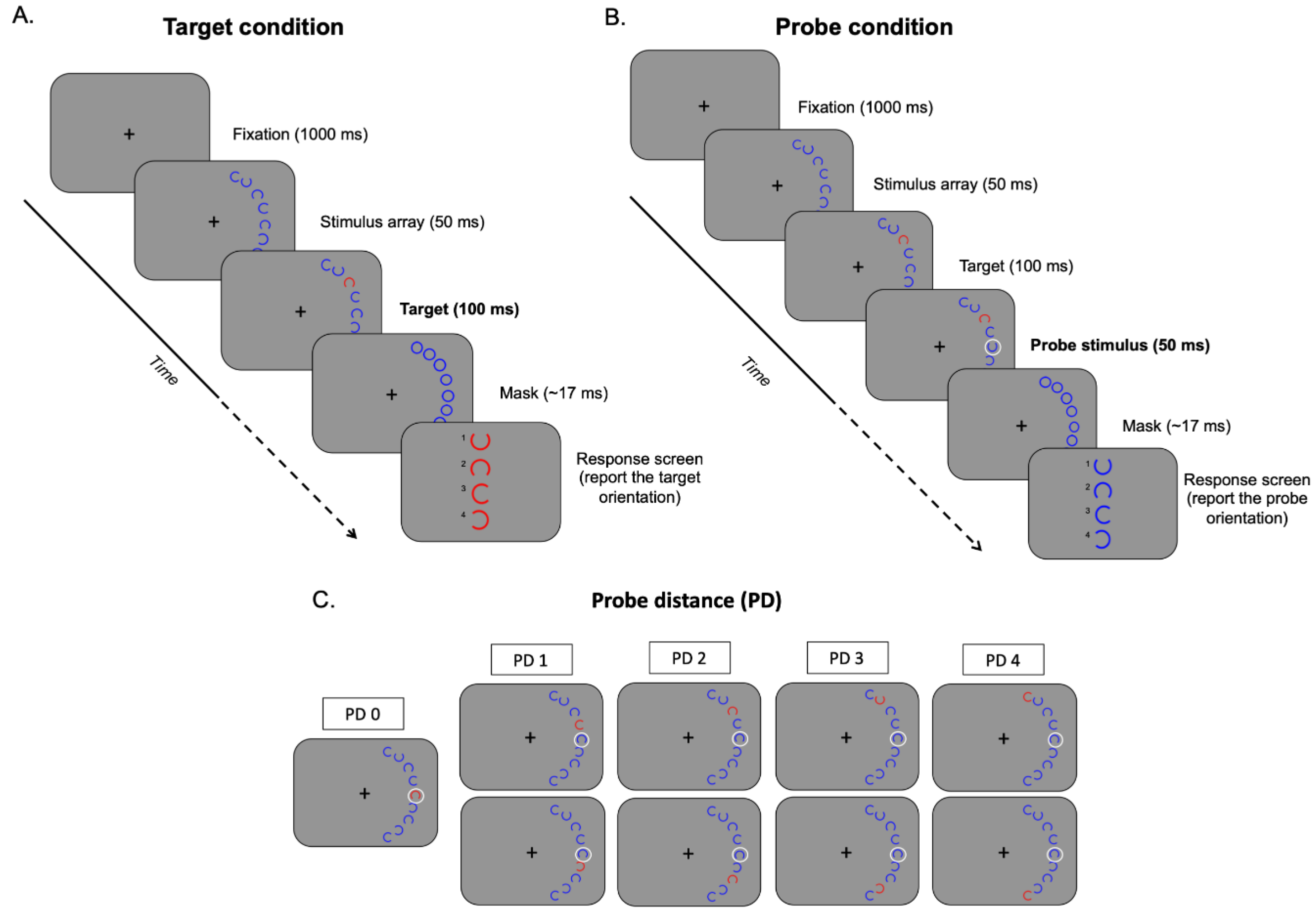 Brainsci 13 00211 g001